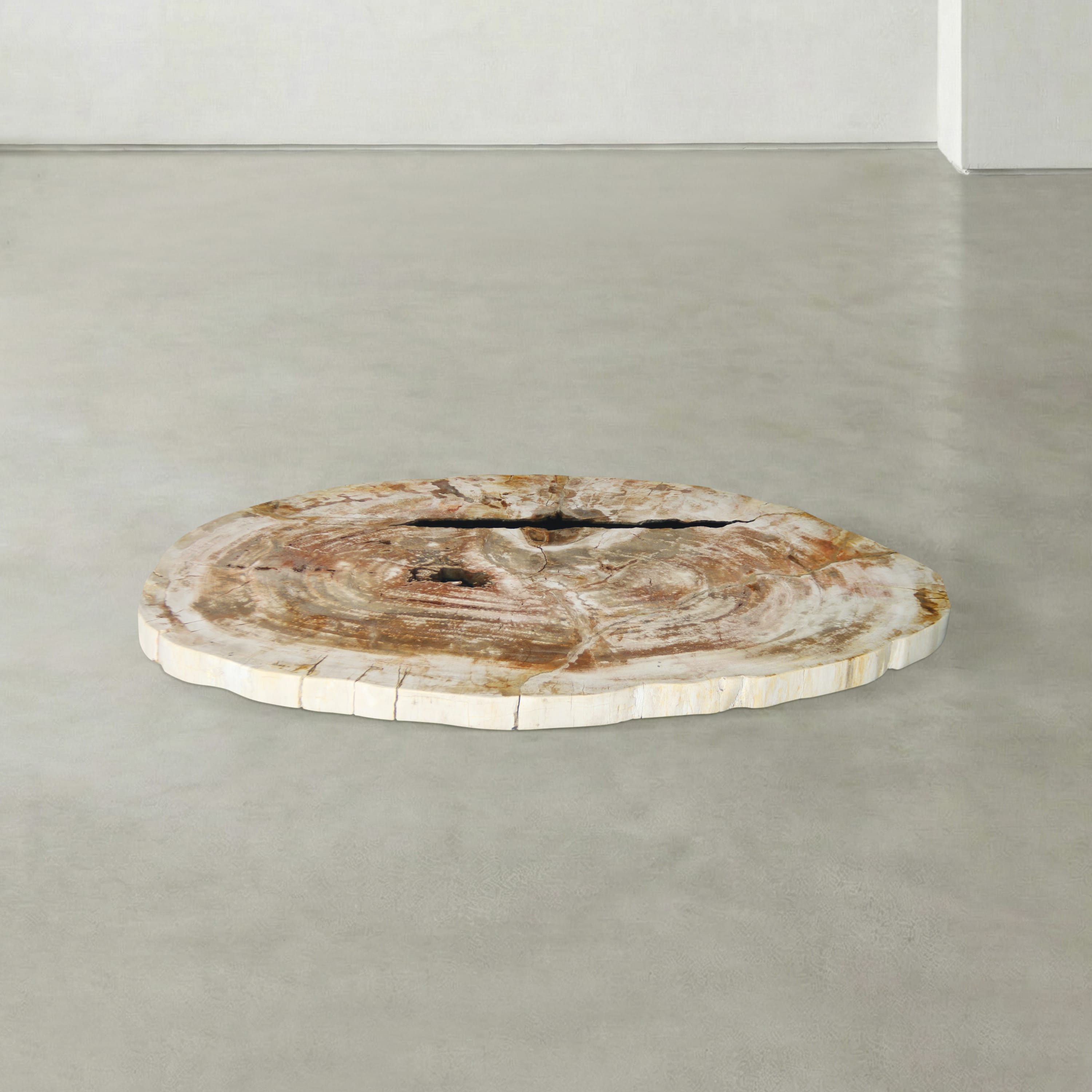 Kalifano Petrified Wood Natural Petrified Wood Round Slab Coffee Table from Indonesia - 39" / 88 lbs PWT3700.002