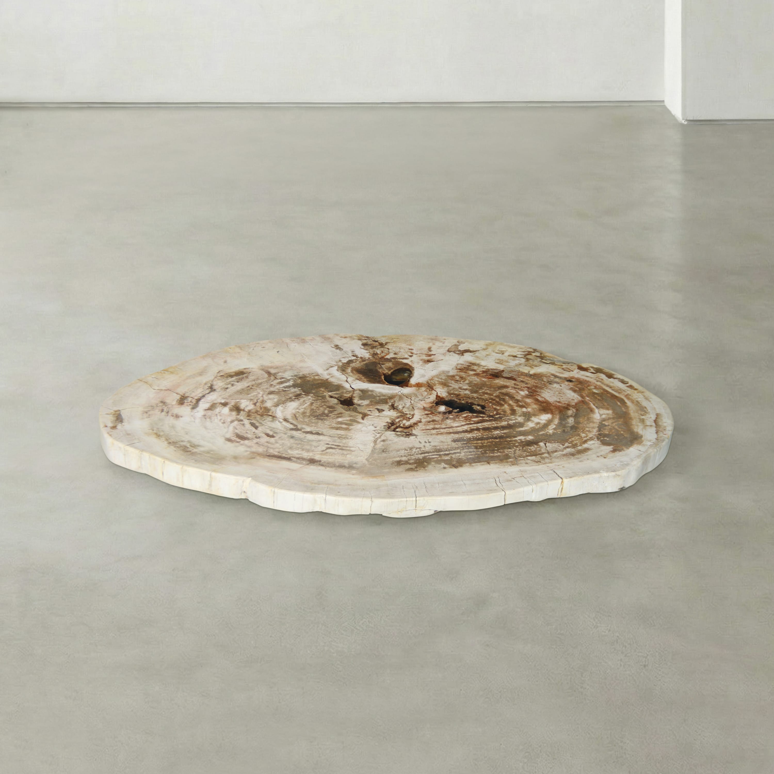 Kalifano Petrified Wood Natural Petrified Wood Round Slab Coffee Table from Indonesia - 39" / 93 lbs PWT3900.003