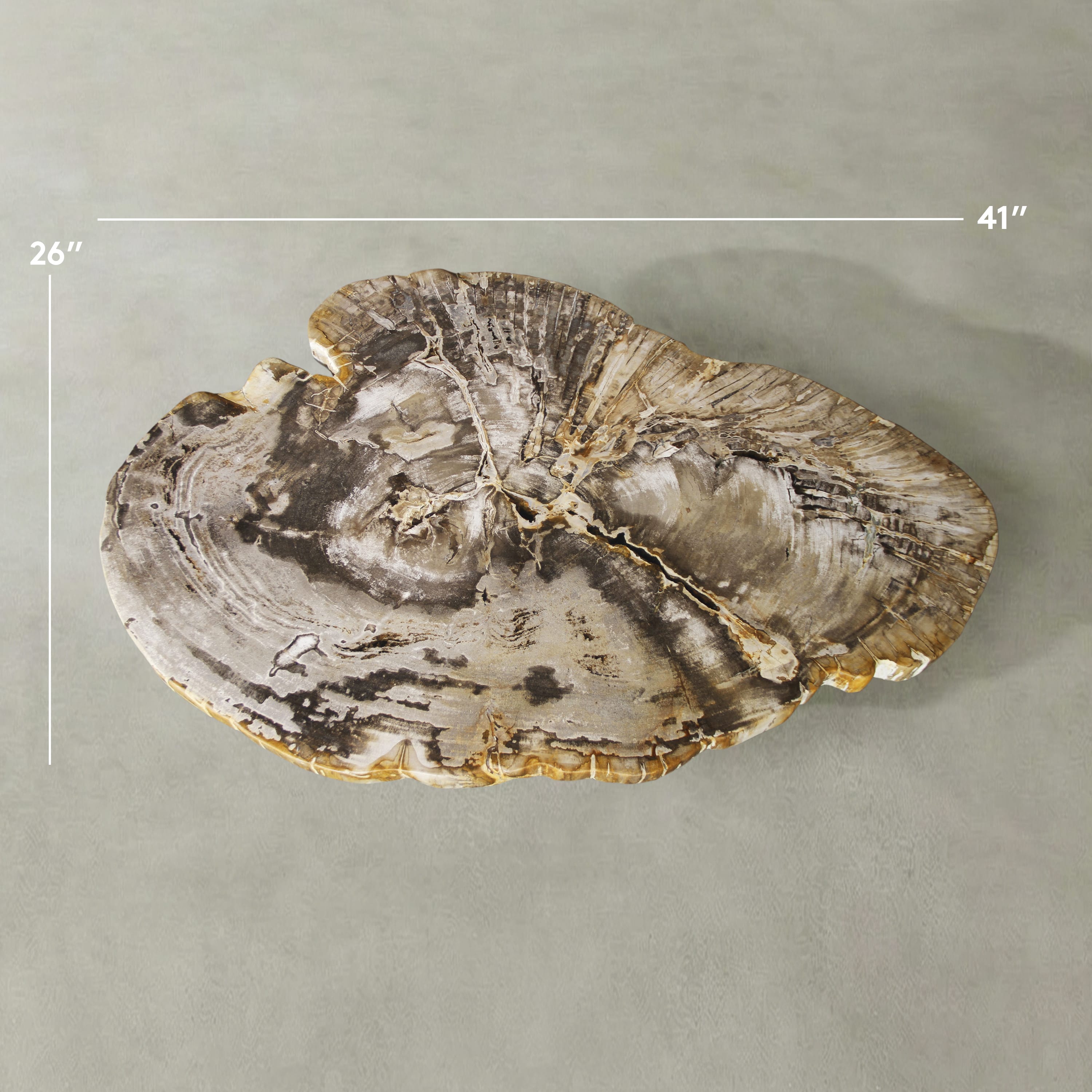 Kalifano Petrified Wood Natural Petrified Wood Round Slab Coffee Table from Indonesia - 41" / 122 lbs PWT4900.002