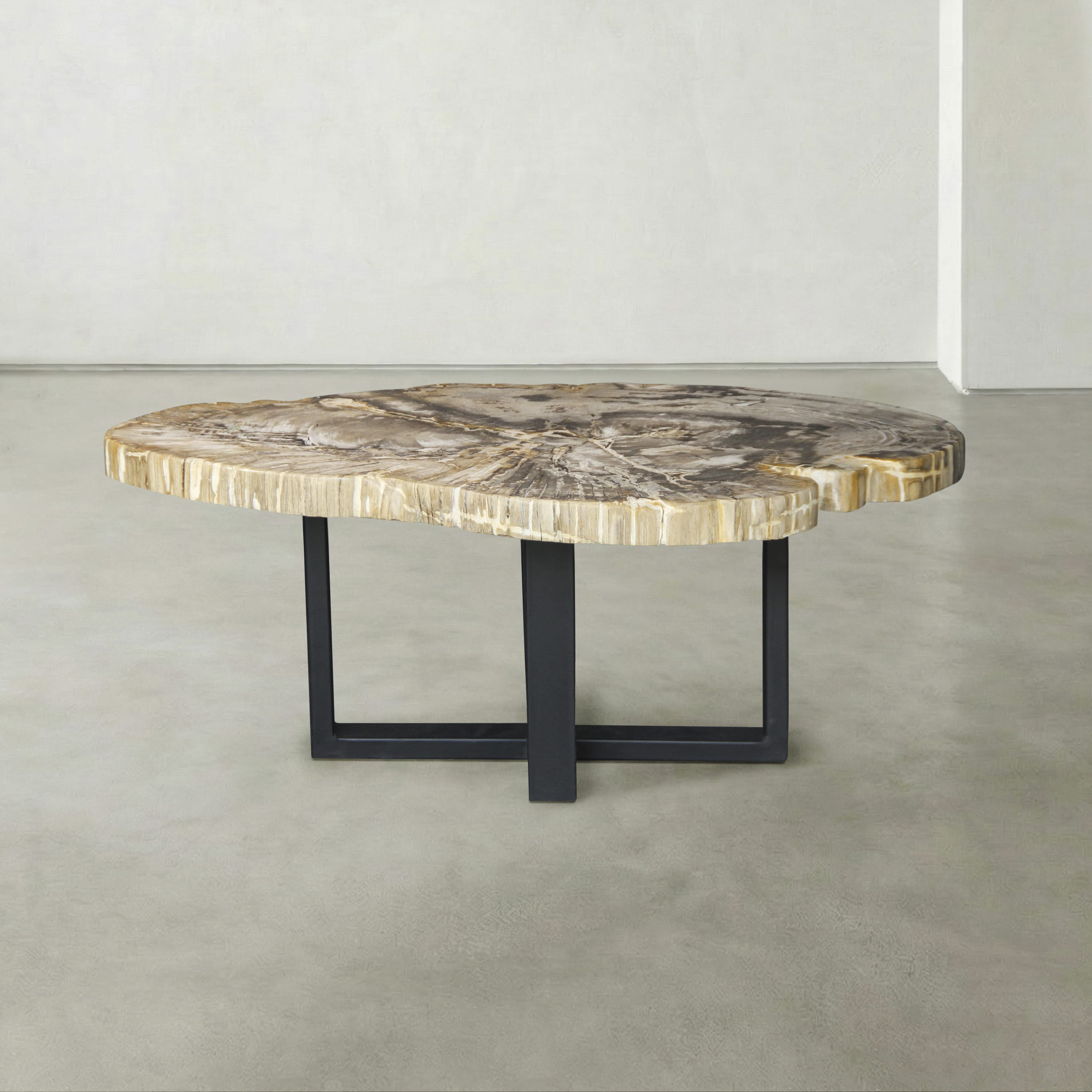 Kalifano Petrified Wood Natural Petrified Wood Round Slab Coffee Table from Indonesia - 41" / 122 lbs PWT4900.002