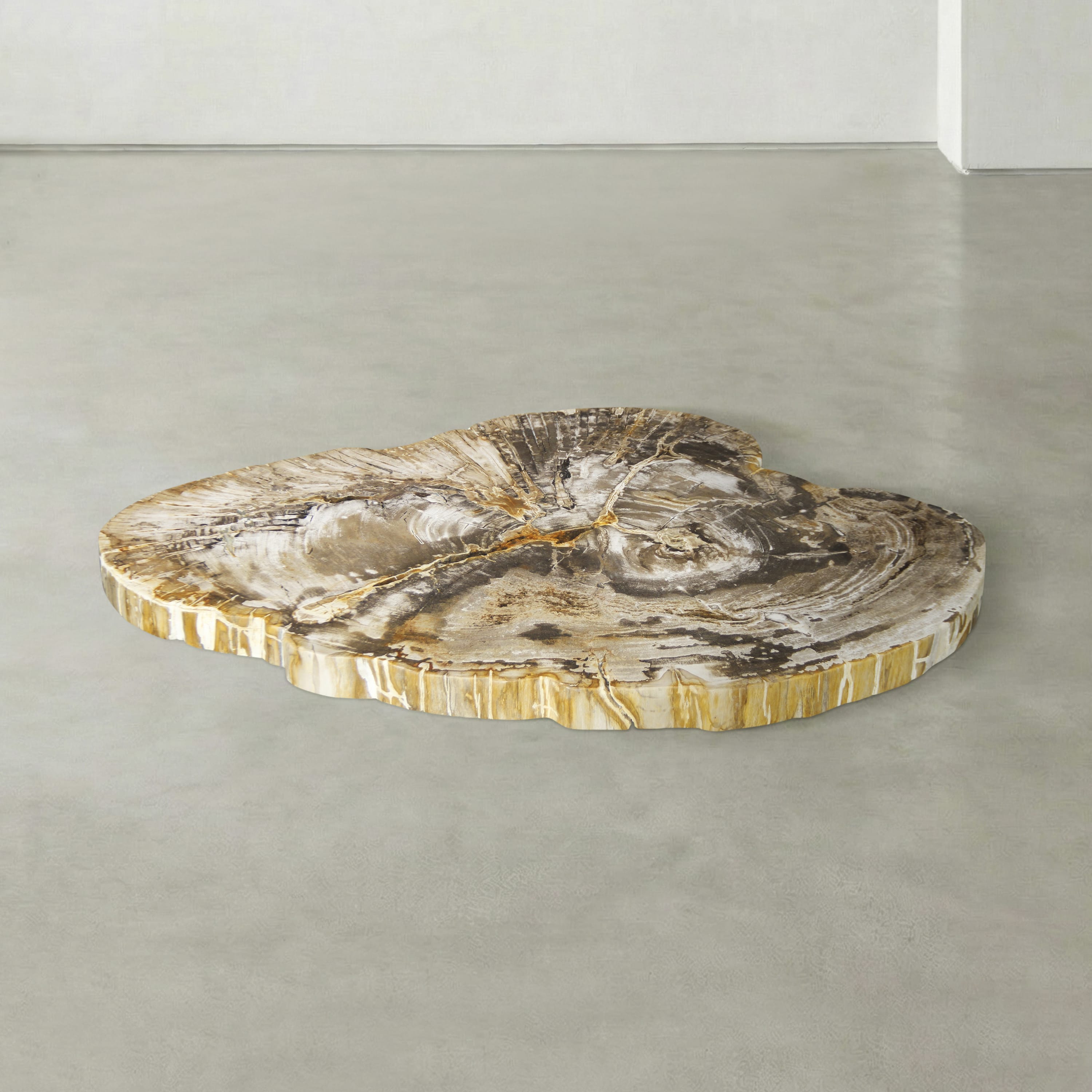 Kalifano Petrified Wood Natural Petrified Wood Round Slab Coffee Table from Indonesia - 41" / 133 lbs PWT5300.003