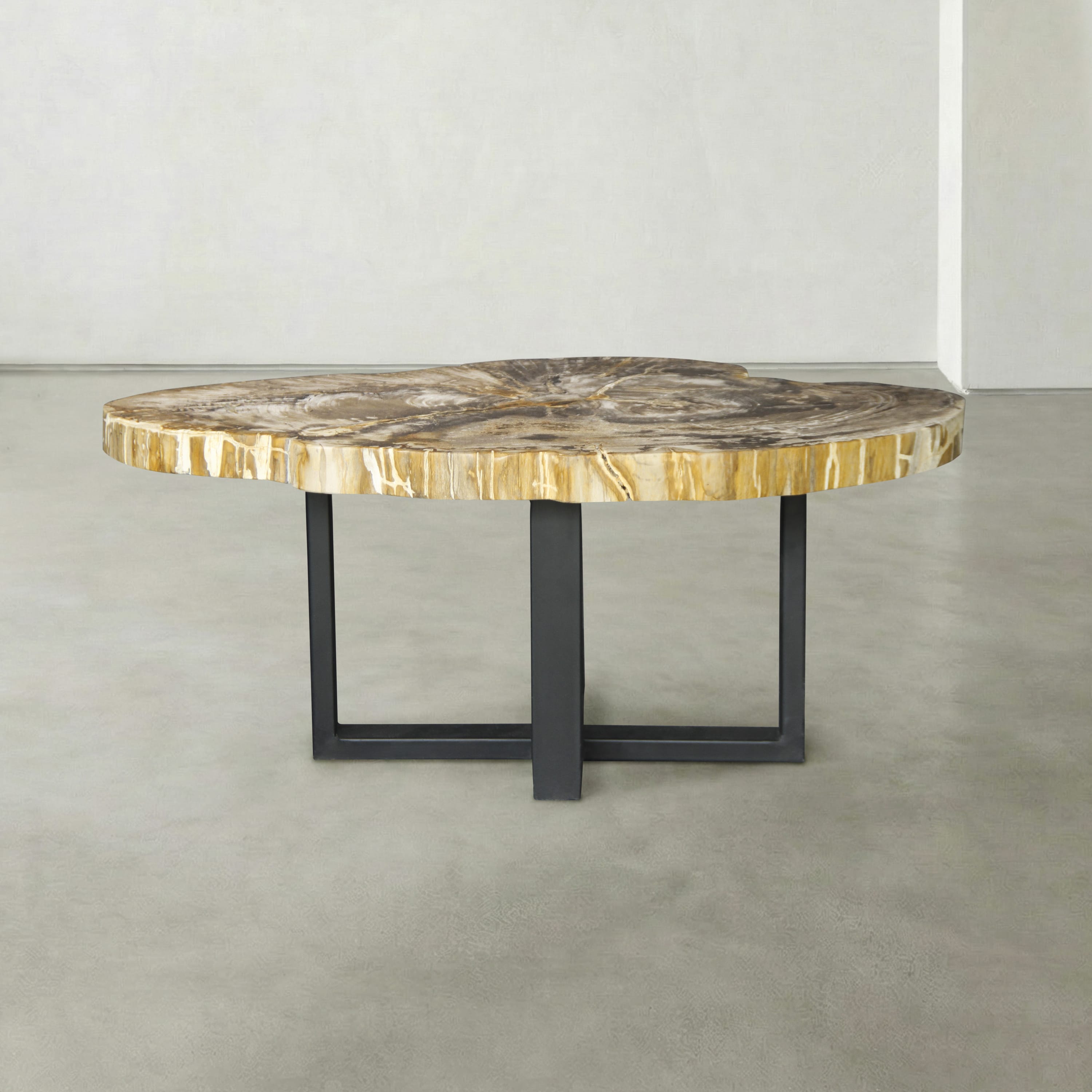 Kalifano Petrified Wood Natural Petrified Wood Round Slab Coffee Table from Indonesia - 41" / 133 lbs PWT5300.003