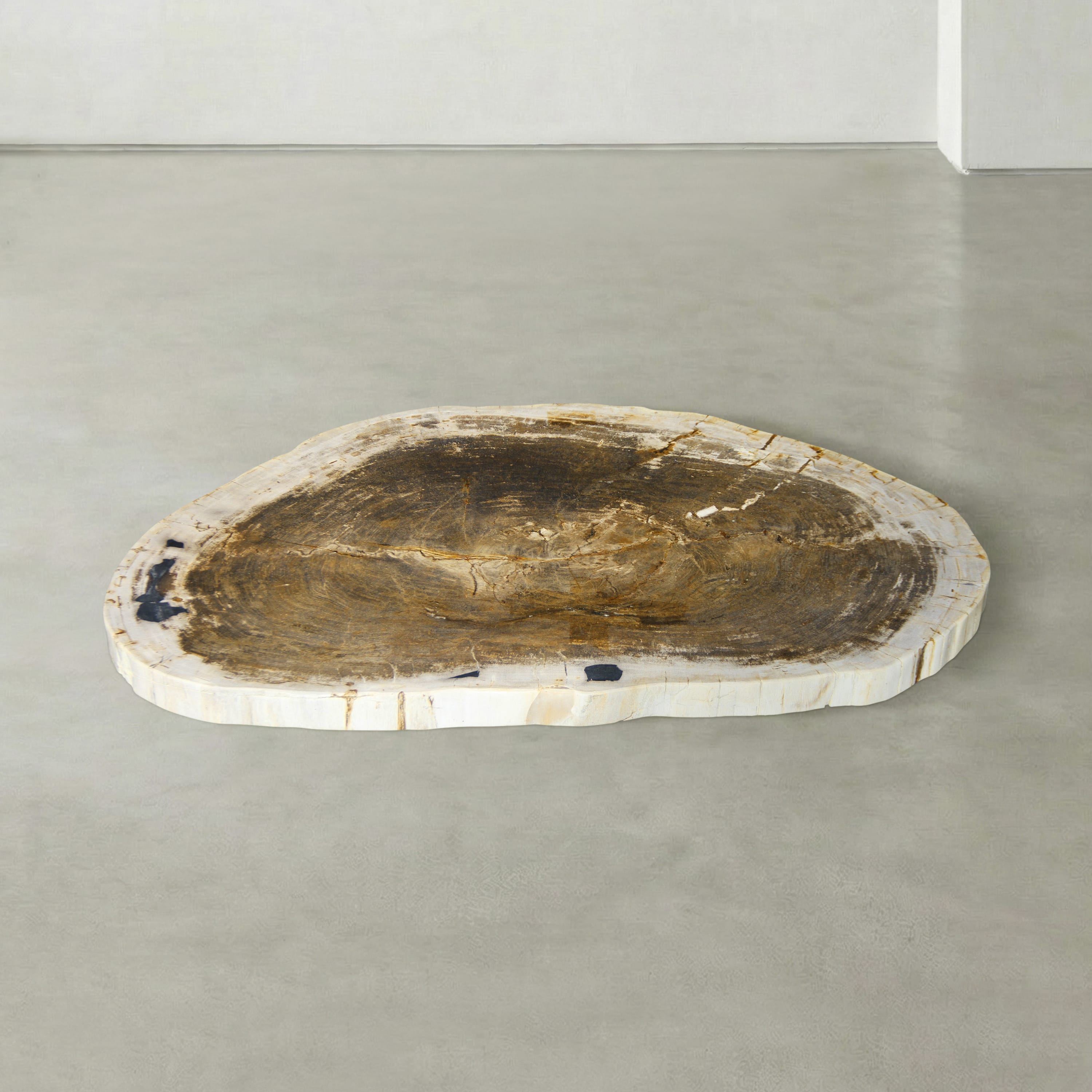 Kalifano Petrified Wood Natural Petrified Wood Round Slab Coffee Table from Indonesia - 41" / 148 lbs PWT5900.002