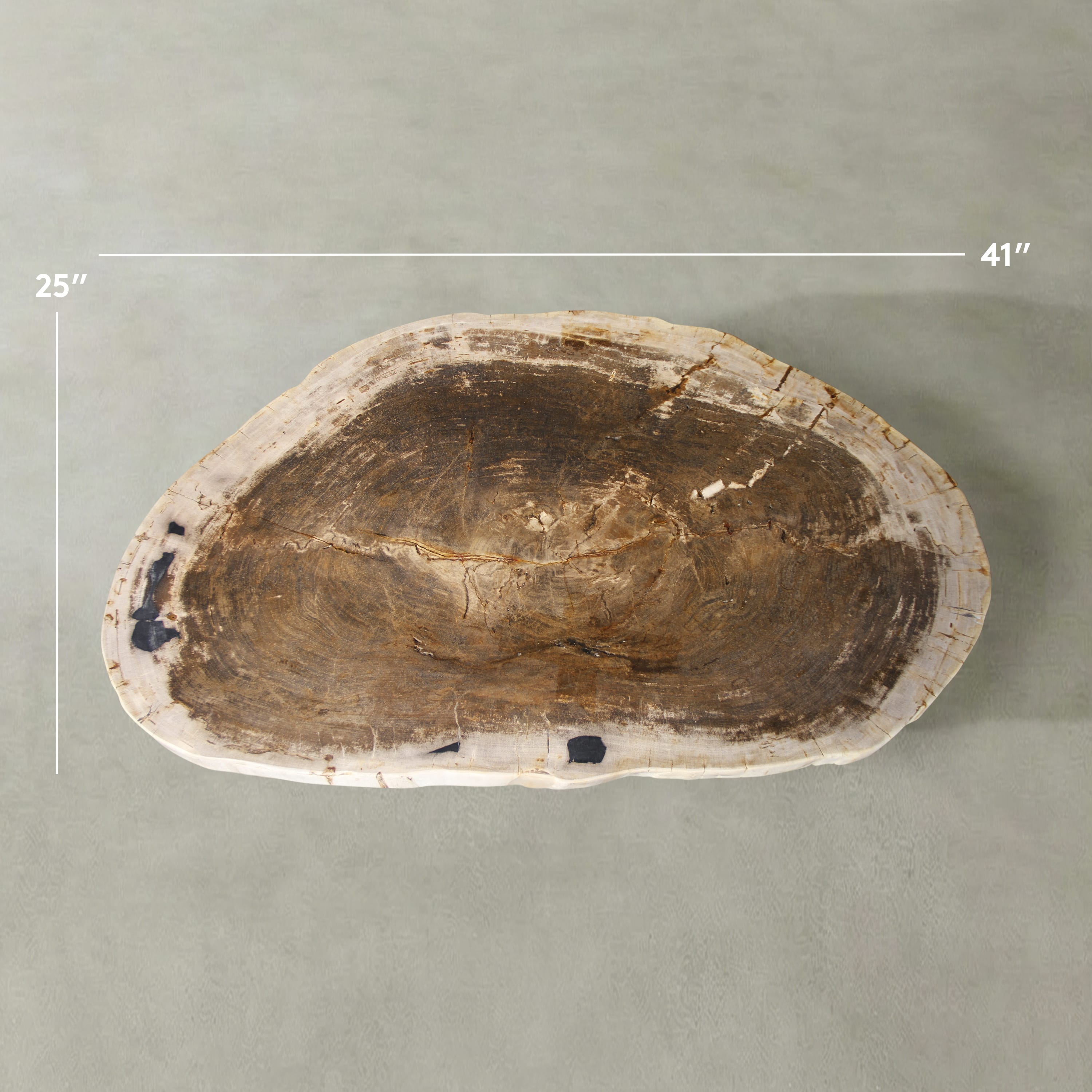 Kalifano Petrified Wood Natural Petrified Wood Round Slab Coffee Table from Indonesia - 41" / 148 lbs PWT5900.002