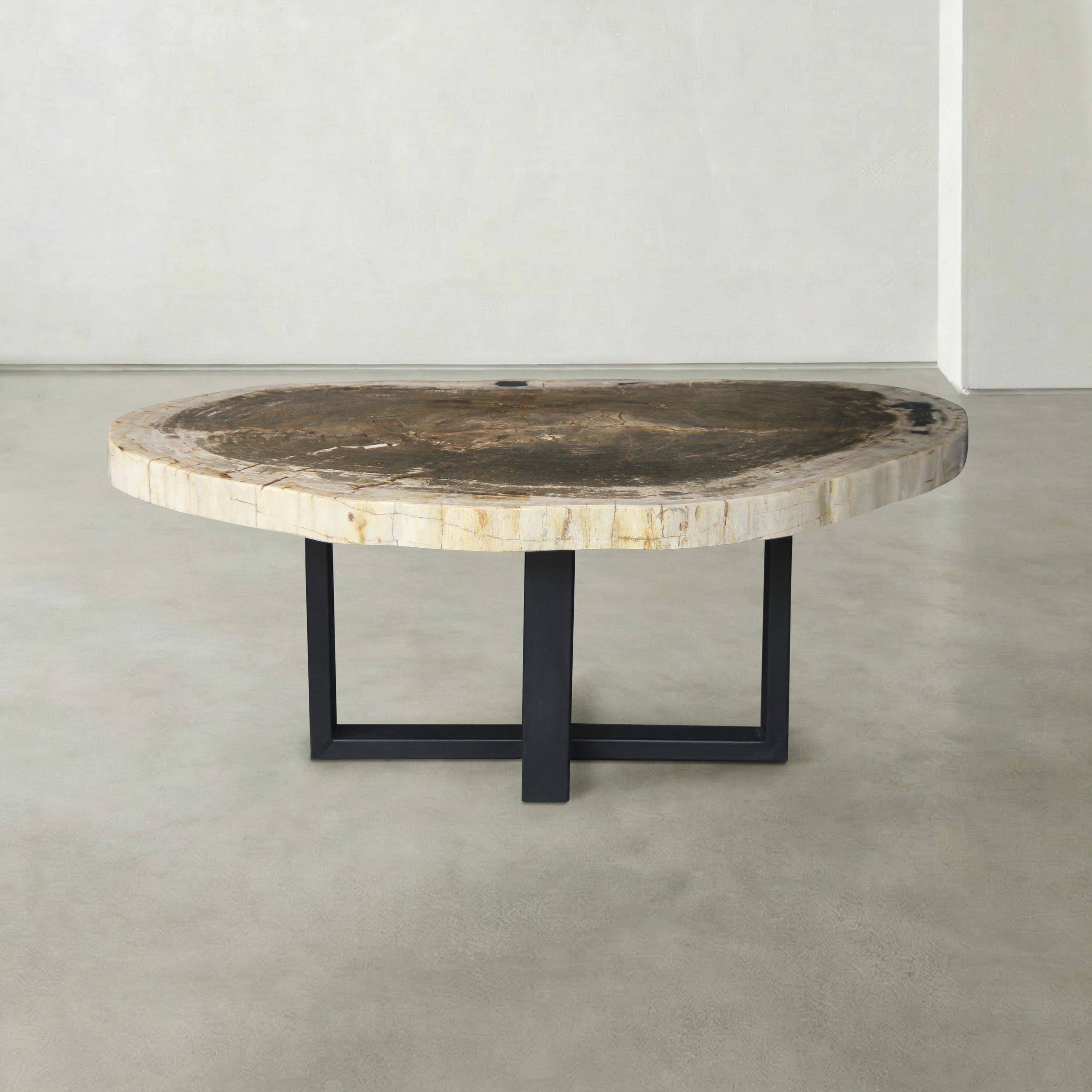 Kalifano Petrified Wood Natural Petrified Wood Round Slab Coffee Table from Indonesia - 41" / 148 lbs PWT5900.002