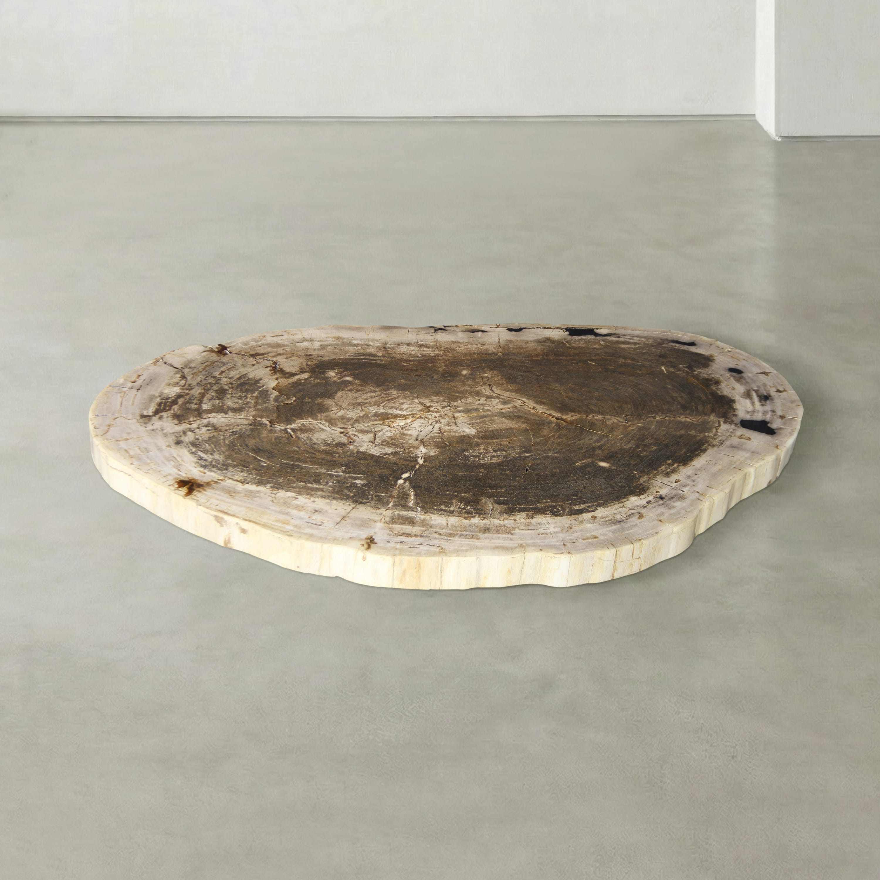 Kalifano Petrified Wood Natural Petrified Wood Round Slab Coffee Table from Indonesia - 41" / 148 lbs PWT5900.004