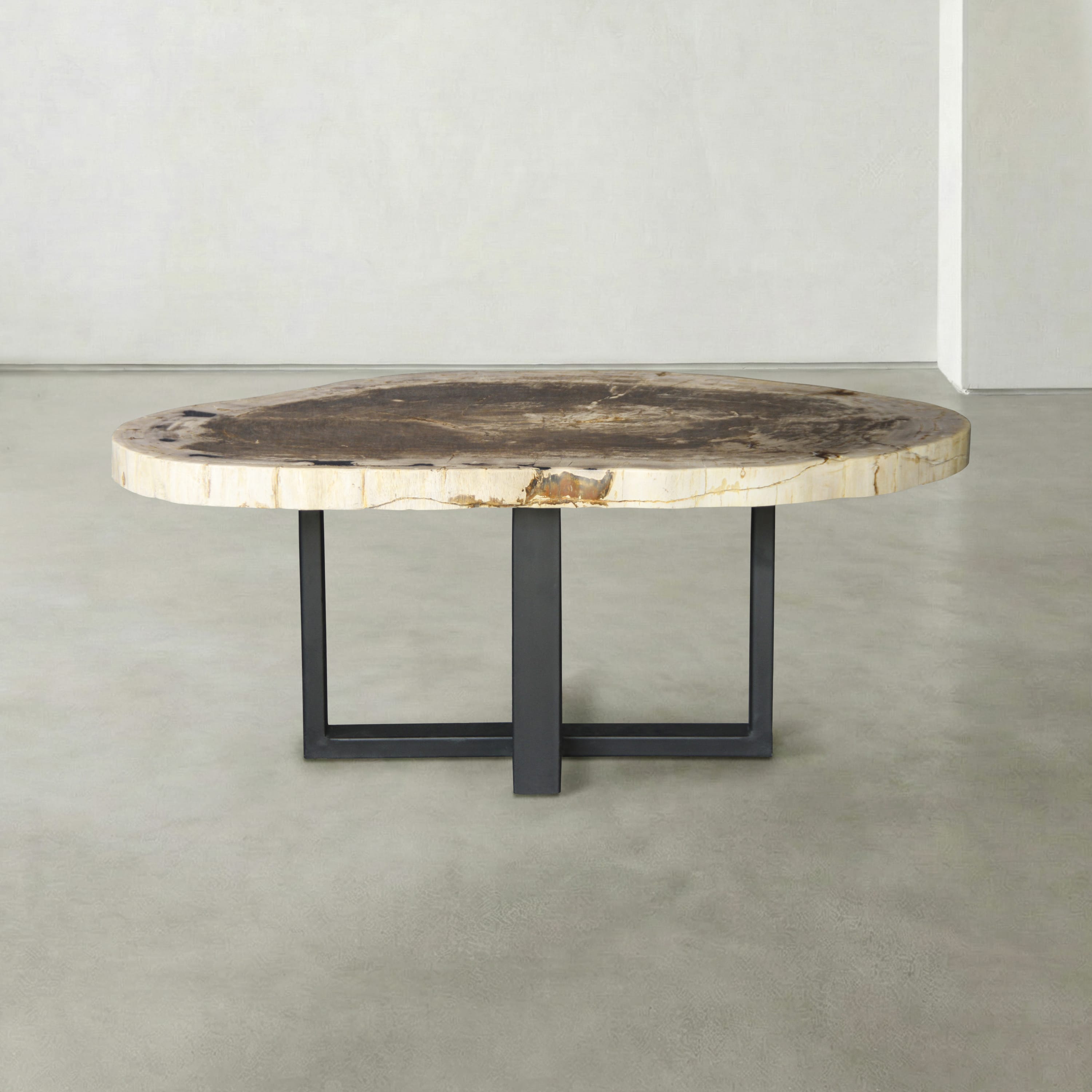Kalifano Petrified Wood Natural Petrified Wood Round Slab Coffee Table from Indonesia - 41" / 148 lbs PWT5900.004