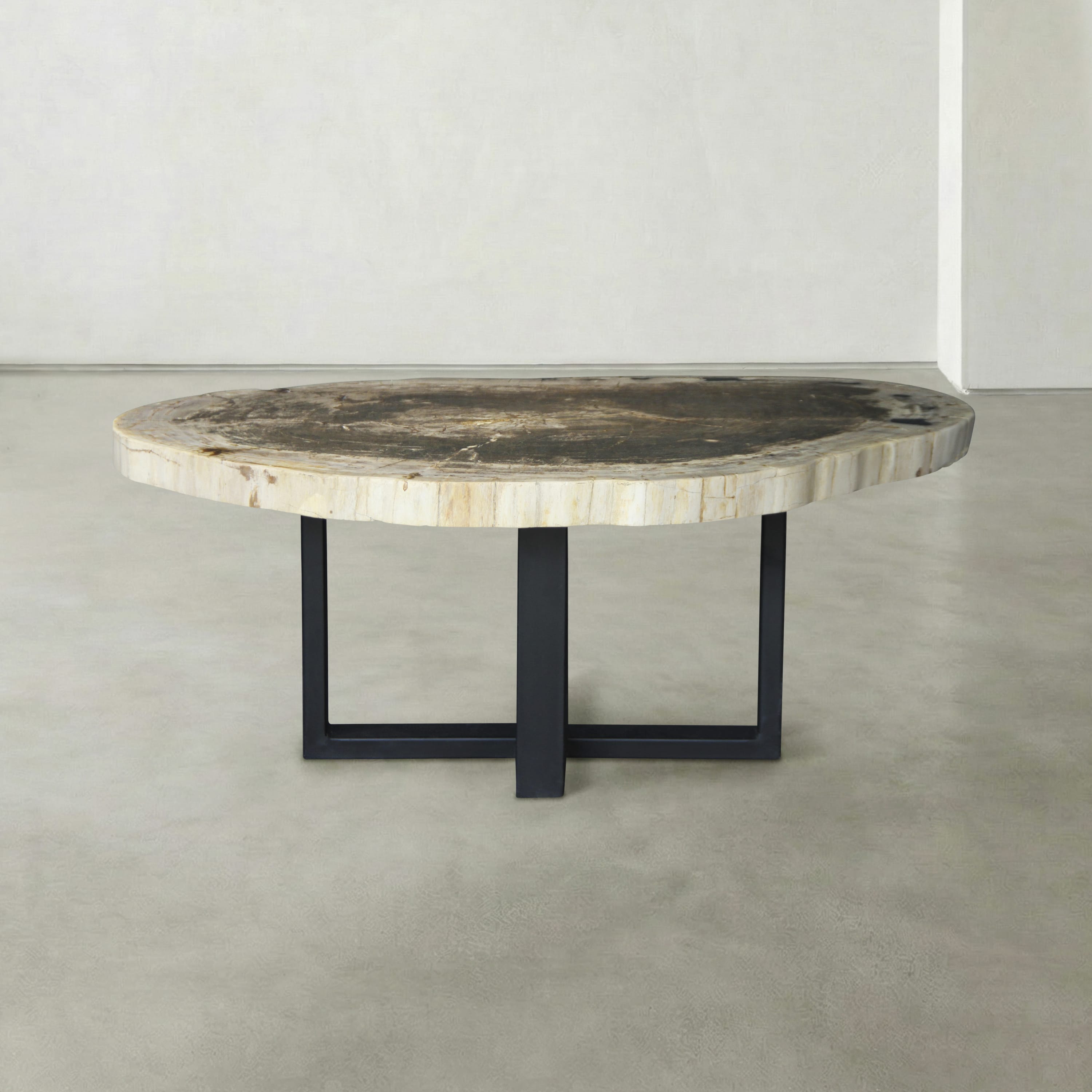 Kalifano Petrified Wood Natural Petrified Wood Round Slab Coffee Table from Indonesia - 41" / 148 lbs PWT5900.004