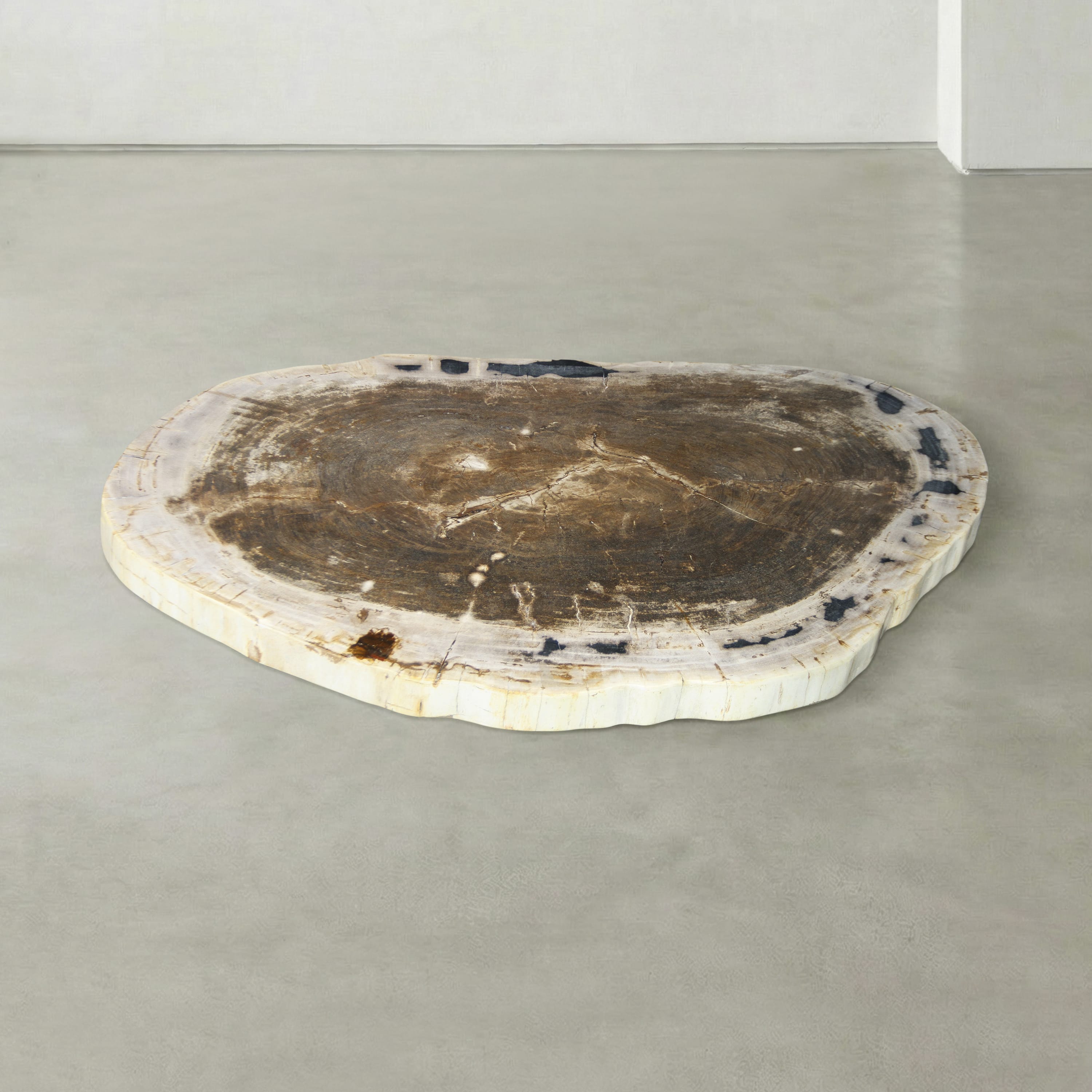Kalifano Petrified Wood Natural Petrified Wood Round Slab Coffee Table from Indonesia - 41" / 159 lbs PWT6300.001