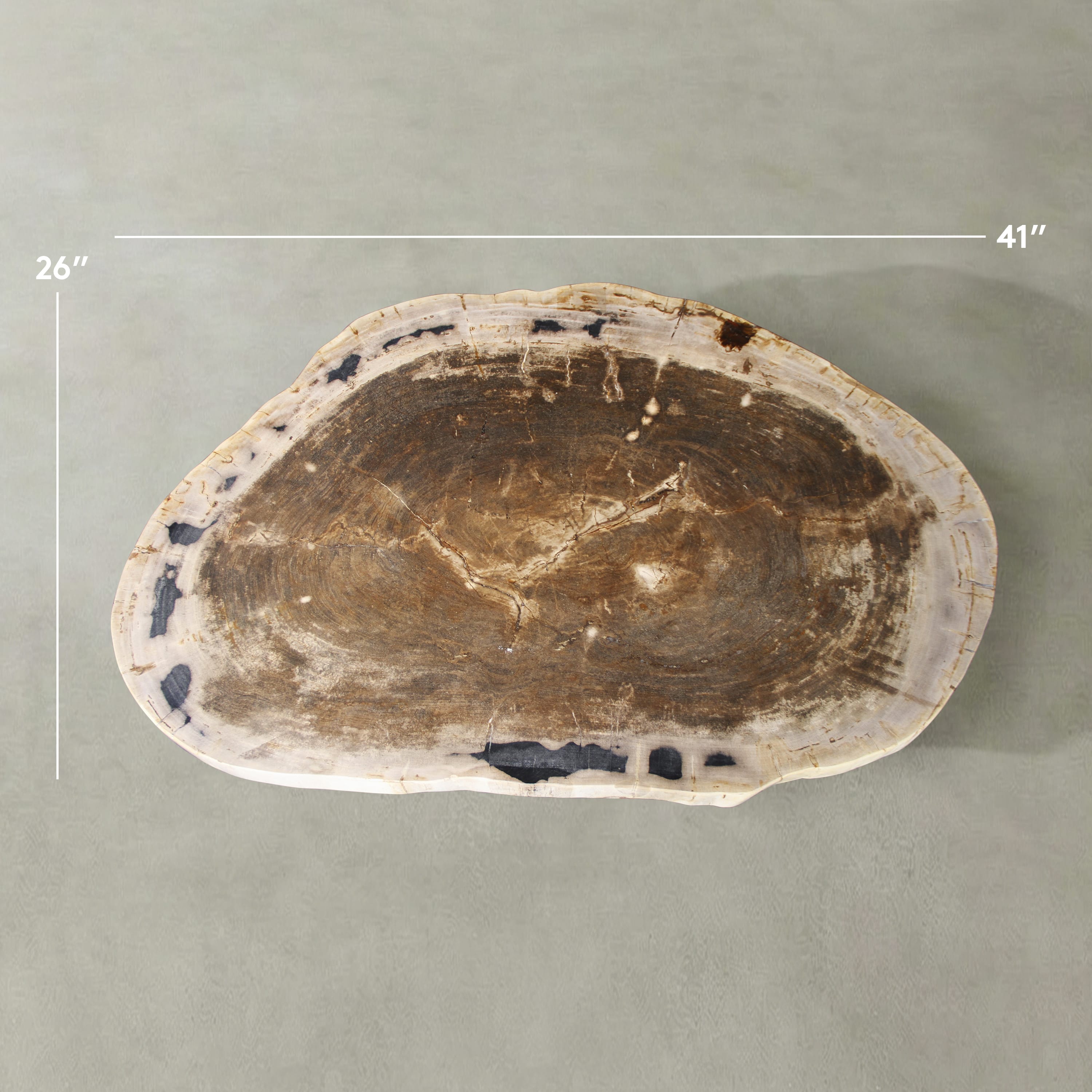 Kalifano Petrified Wood Natural Petrified Wood Round Slab Coffee Table from Indonesia - 41" / 159 lbs PWT6300.001
