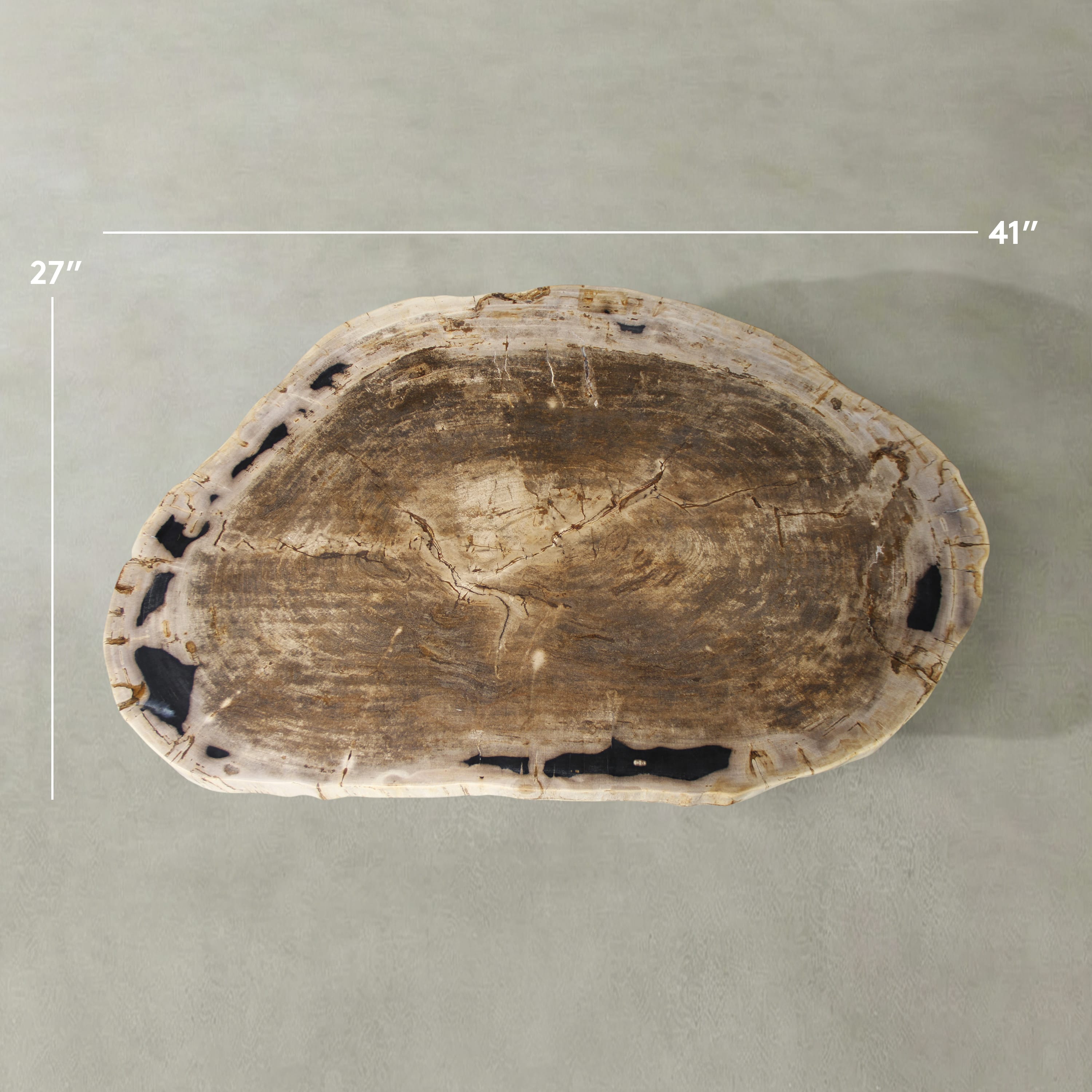 Kalifano Petrified Wood Natural Petrified Wood Round Slab Coffee Table from Indonesia - 41" / 161 lbs PWT6400.008