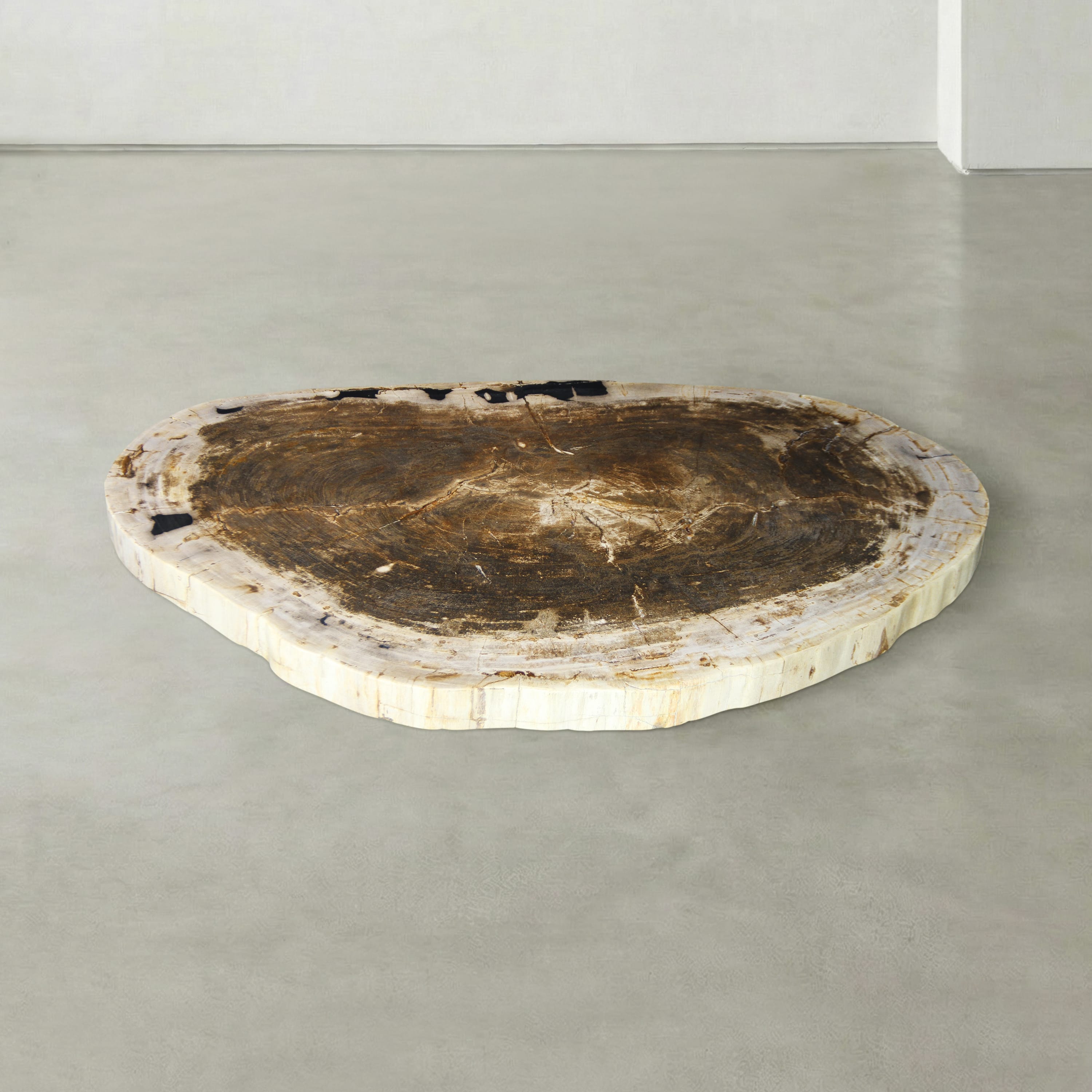 Kalifano Petrified Wood Natural Petrified Wood Round Slab Coffee Table from Indonesia - 41" / 161 lbs PWT6400.009