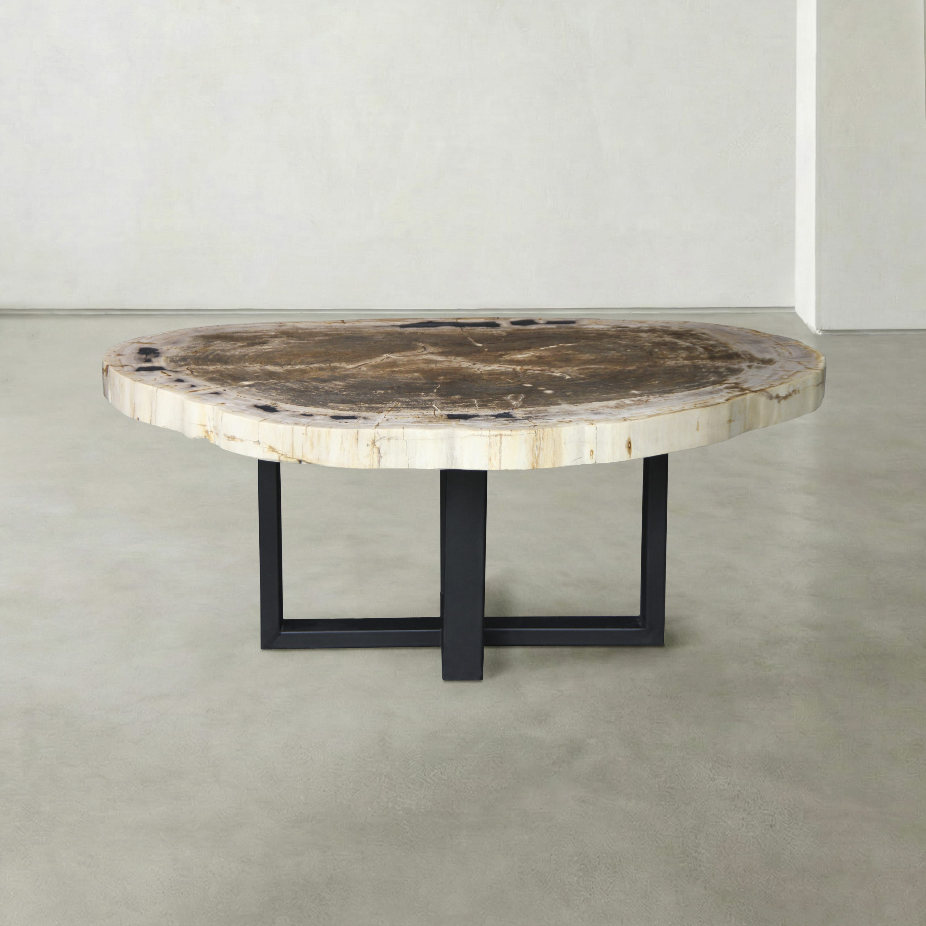 Kalifano Petrified Wood Natural Petrified Wood Round Slab Coffee Table from Indonesia - 41" / 168 lbs PWT6600.005