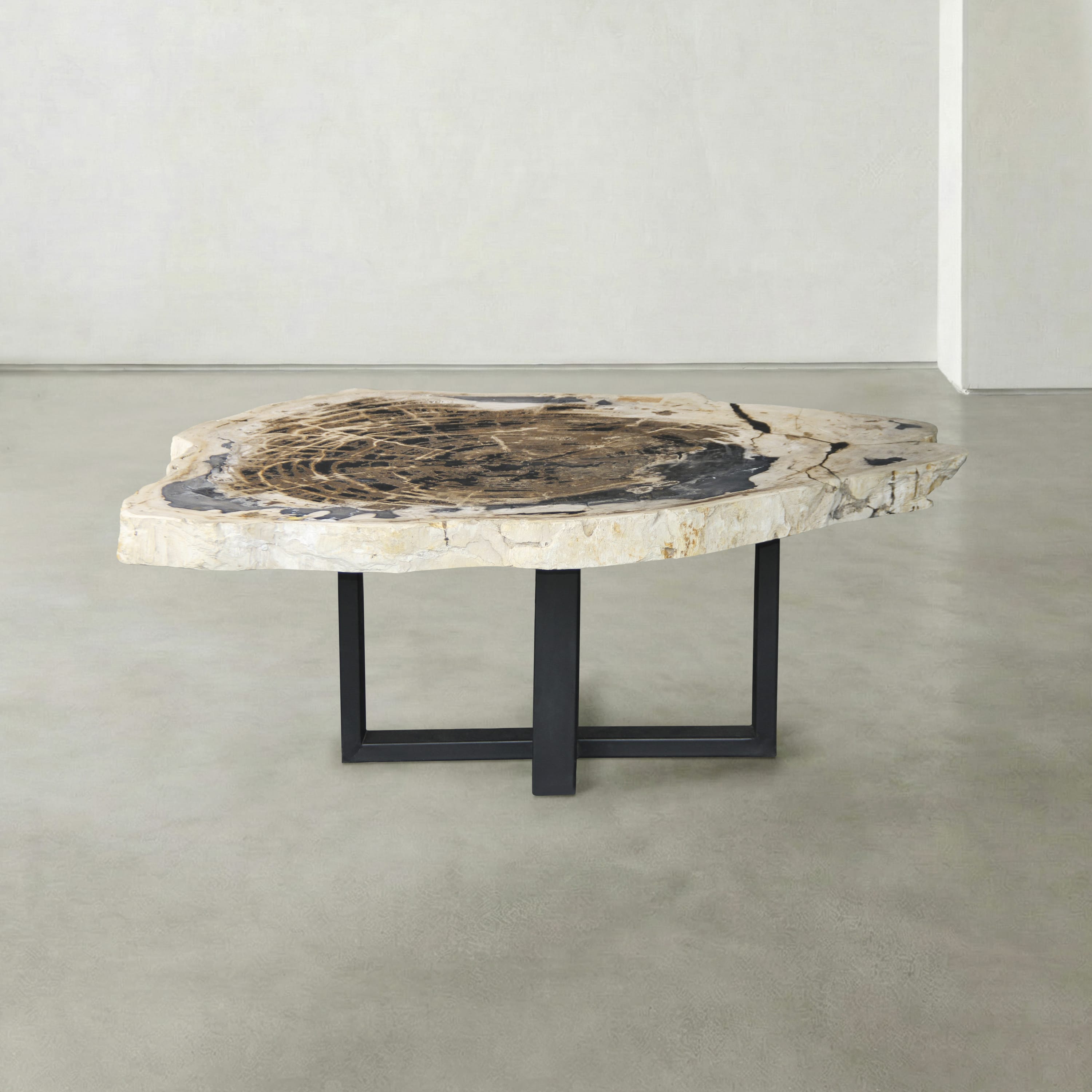 Kalifano Petrified Wood Natural Petrified Wood Round Slab Coffee Table from Indonesia - 41" / 208 lbs PWT8100.002
