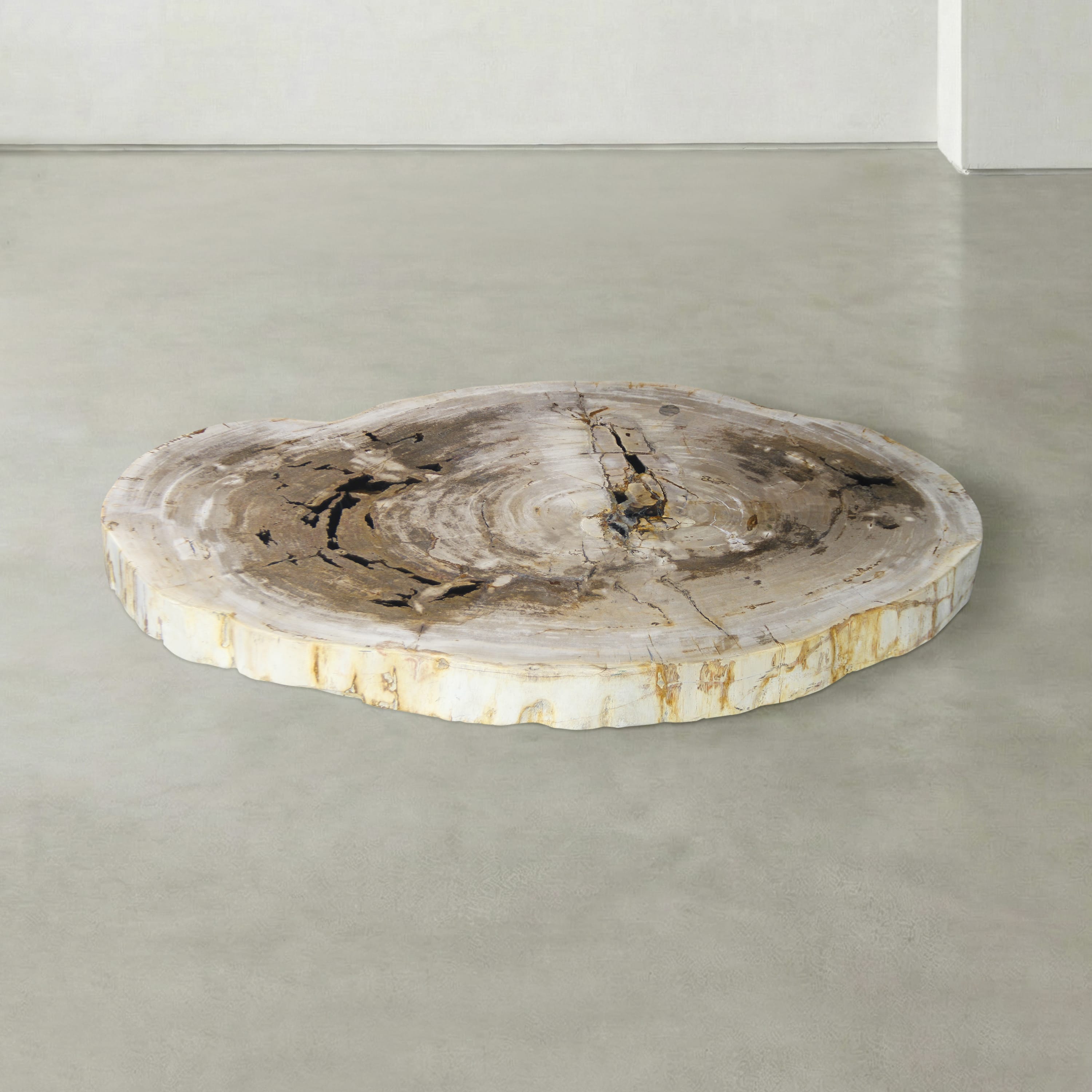 Kalifano Petrified Wood Natural Petrified Wood Round Slab Coffee Table from Indonesia - 41" / 210 lbs PWT8100.003
