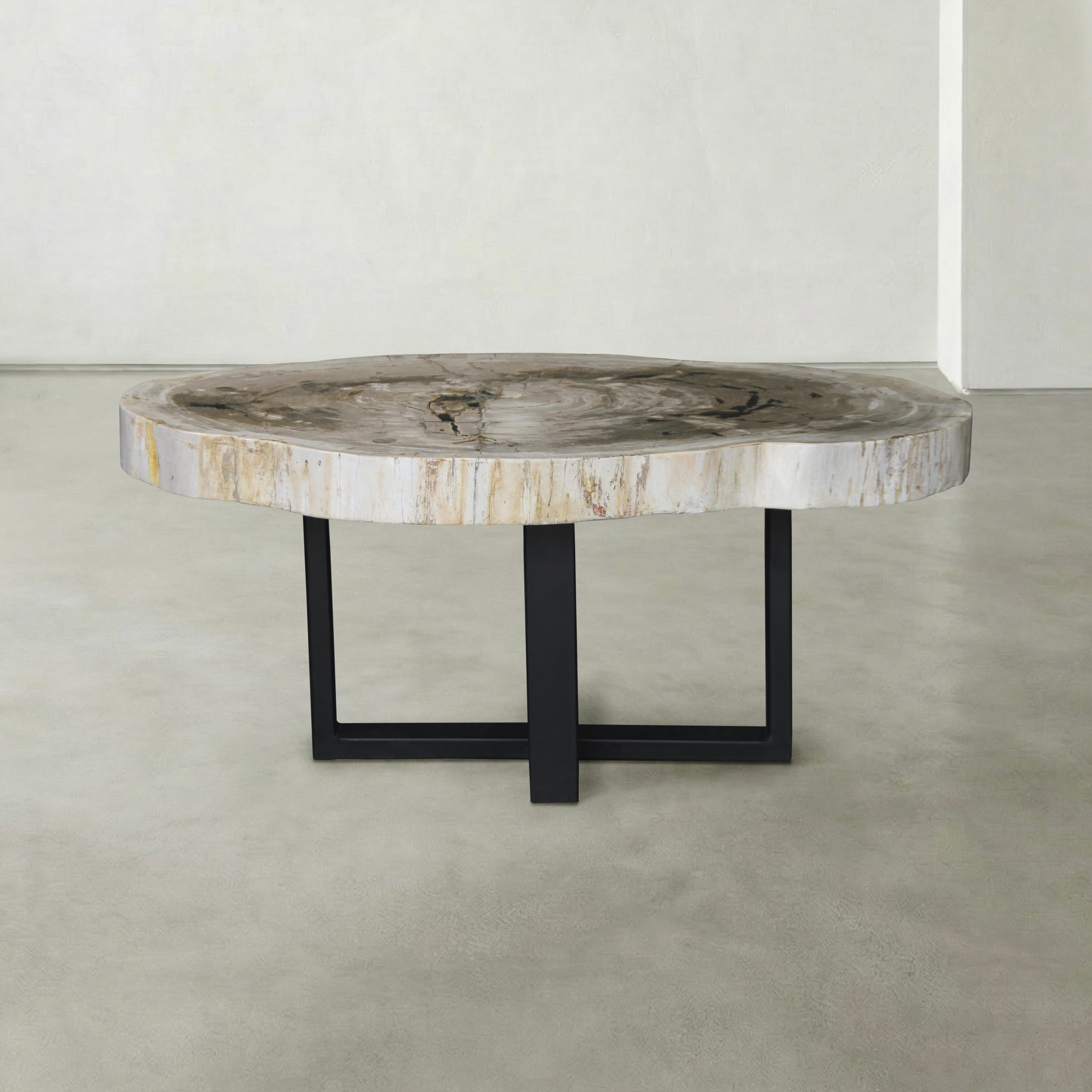 Kalifano Petrified Wood Natural Petrified Wood Round Slab Coffee Table from Indonesia - 41" / 210 lbs PWT8100.003