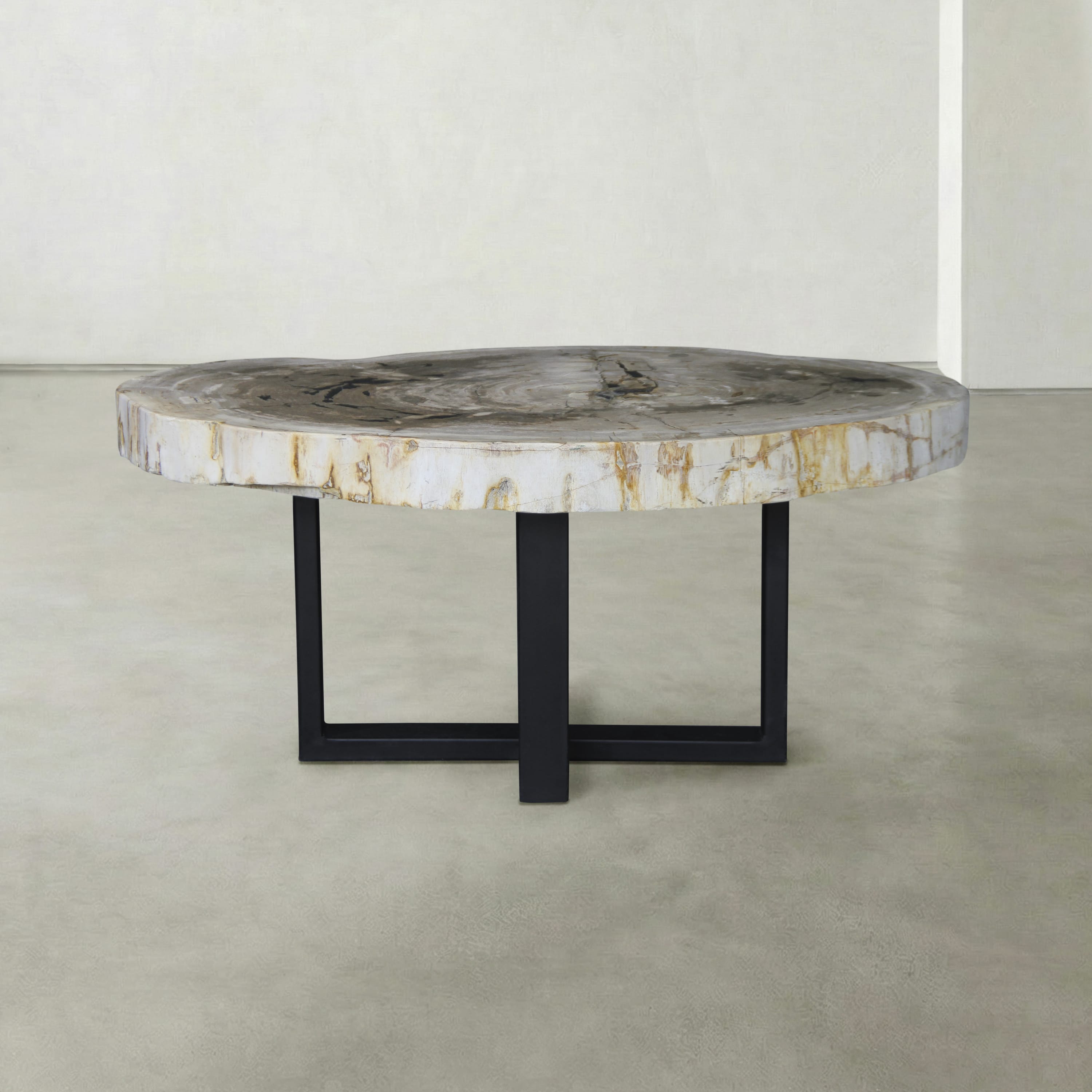 Kalifano Petrified Wood Natural Petrified Wood Round Slab Coffee Table from Indonesia - 41" / 210 lbs PWT8100.003