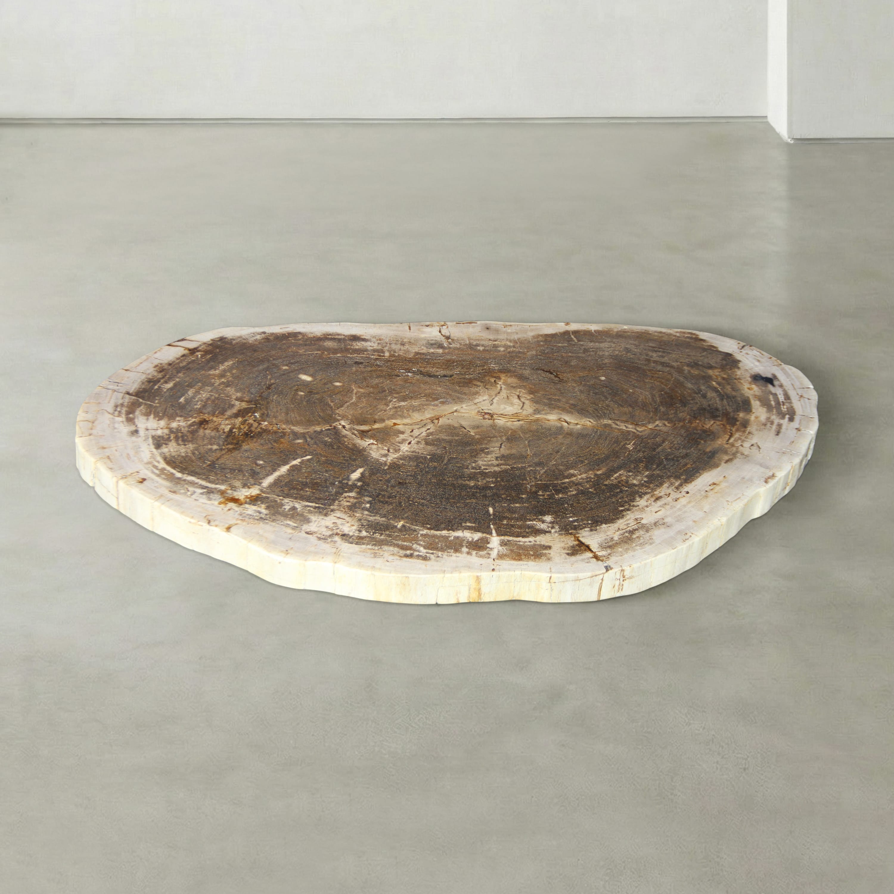 Kalifano Petrified Wood Natural Petrified Wood Round Slab Coffee Table from Indonesia - 42" / 144 lbs PWT5700.003