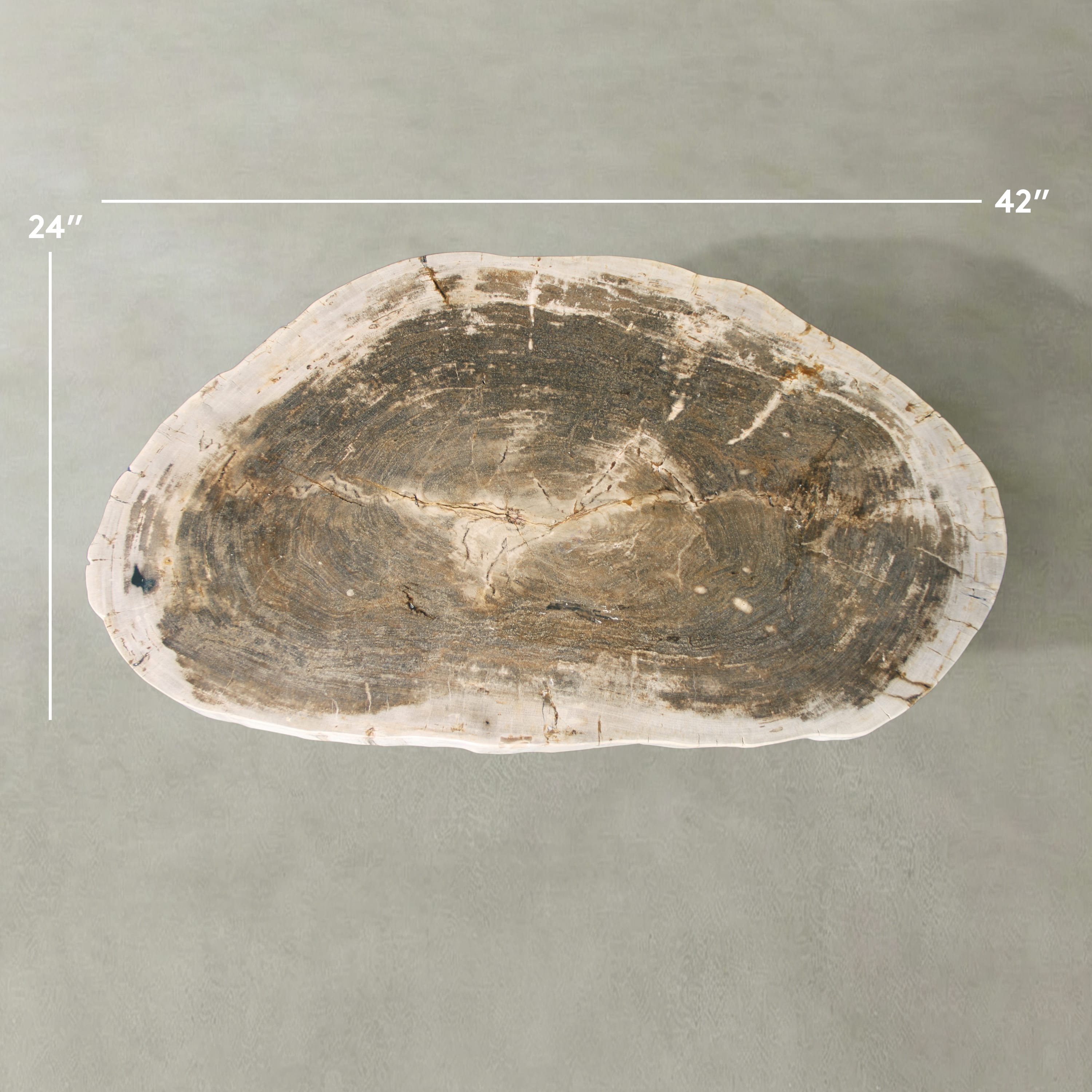 Kalifano Petrified Wood Natural Petrified Wood Round Slab Coffee Table from Indonesia - 42" / 144 lbs PWT5700.003