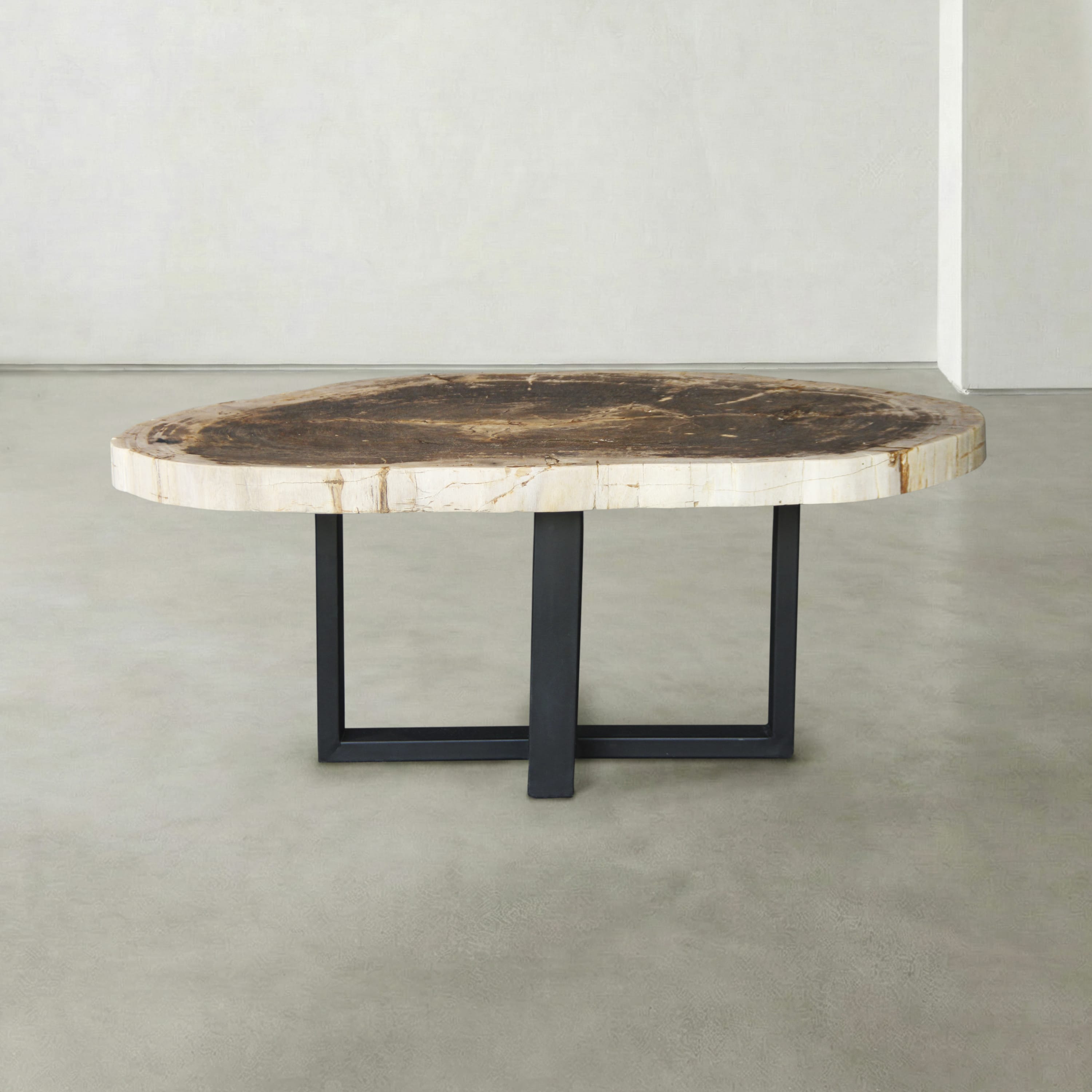 Kalifano Petrified Wood Natural Petrified Wood Round Slab Coffee Table from Indonesia - 42" / 144 lbs PWT5700.003