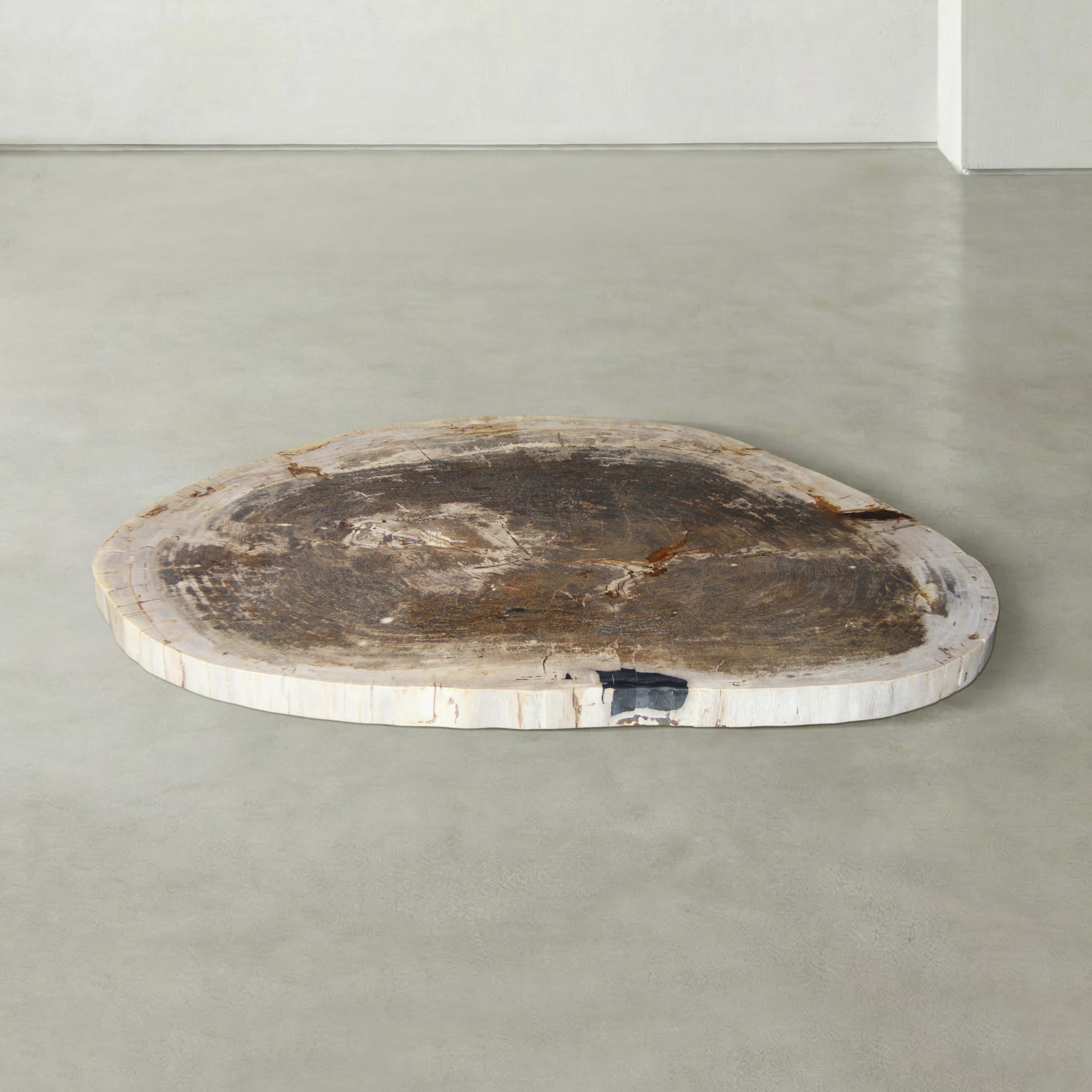 Kalifano Petrified Wood Natural Petrified Wood Round Slab Coffee Table from Indonesia - 42" / 144 lbs PWT5700.004