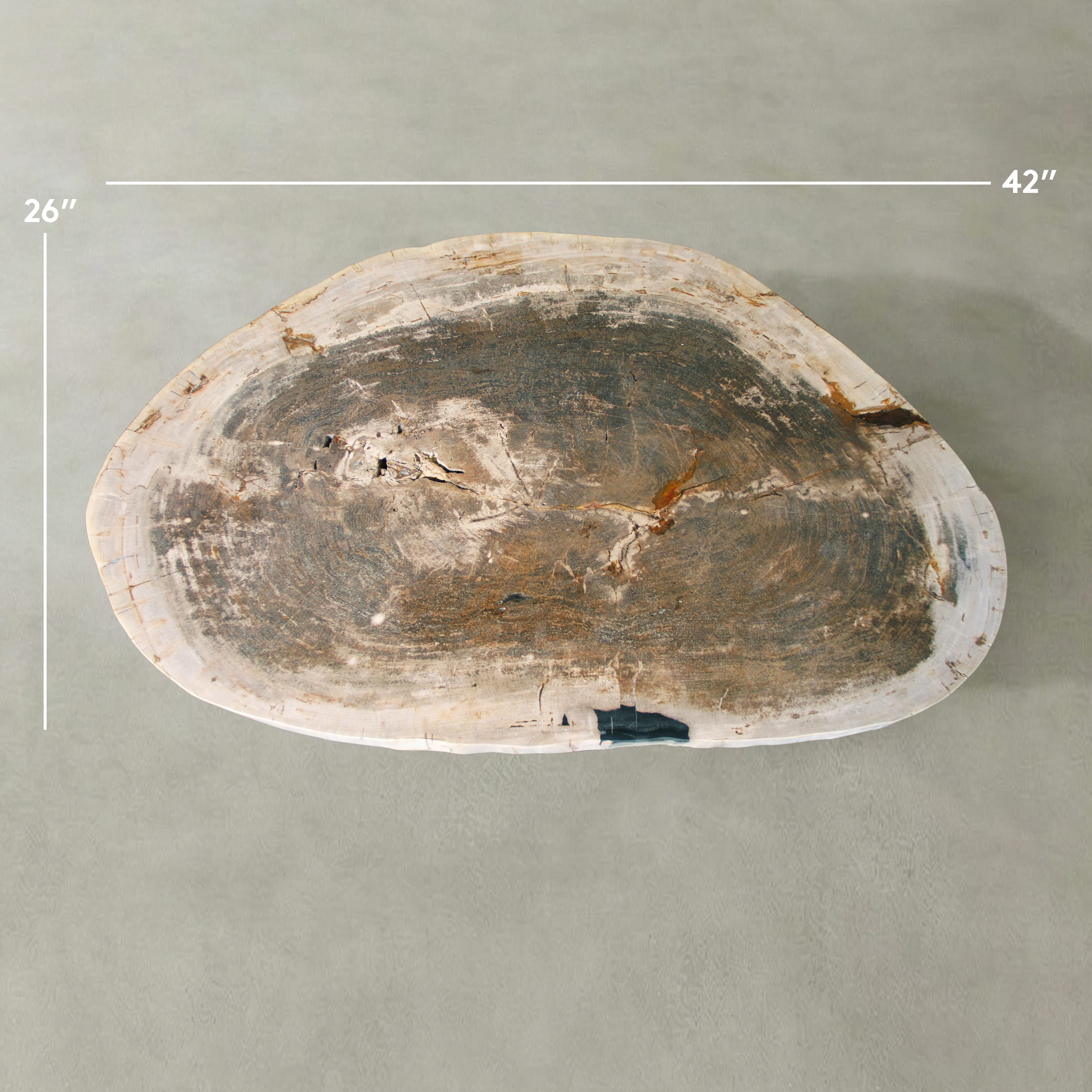 Kalifano Petrified Wood Natural Petrified Wood Round Slab Coffee Table from Indonesia - 42" / 144 lbs PWT5700.004