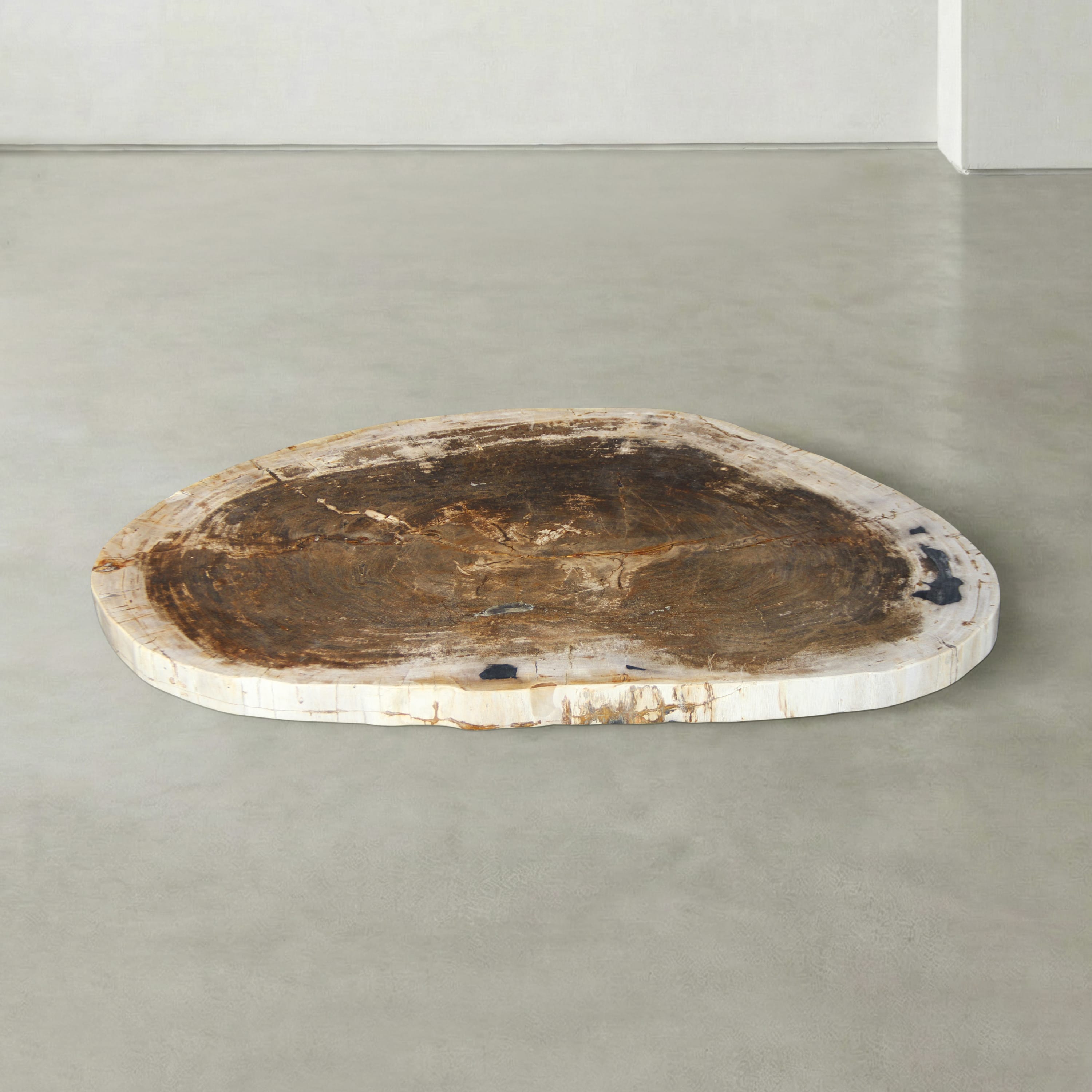 Kalifano Petrified Wood Natural Petrified Wood Round Slab Coffee Table from Indonesia - 42" / 148 lbs PWT5900.003