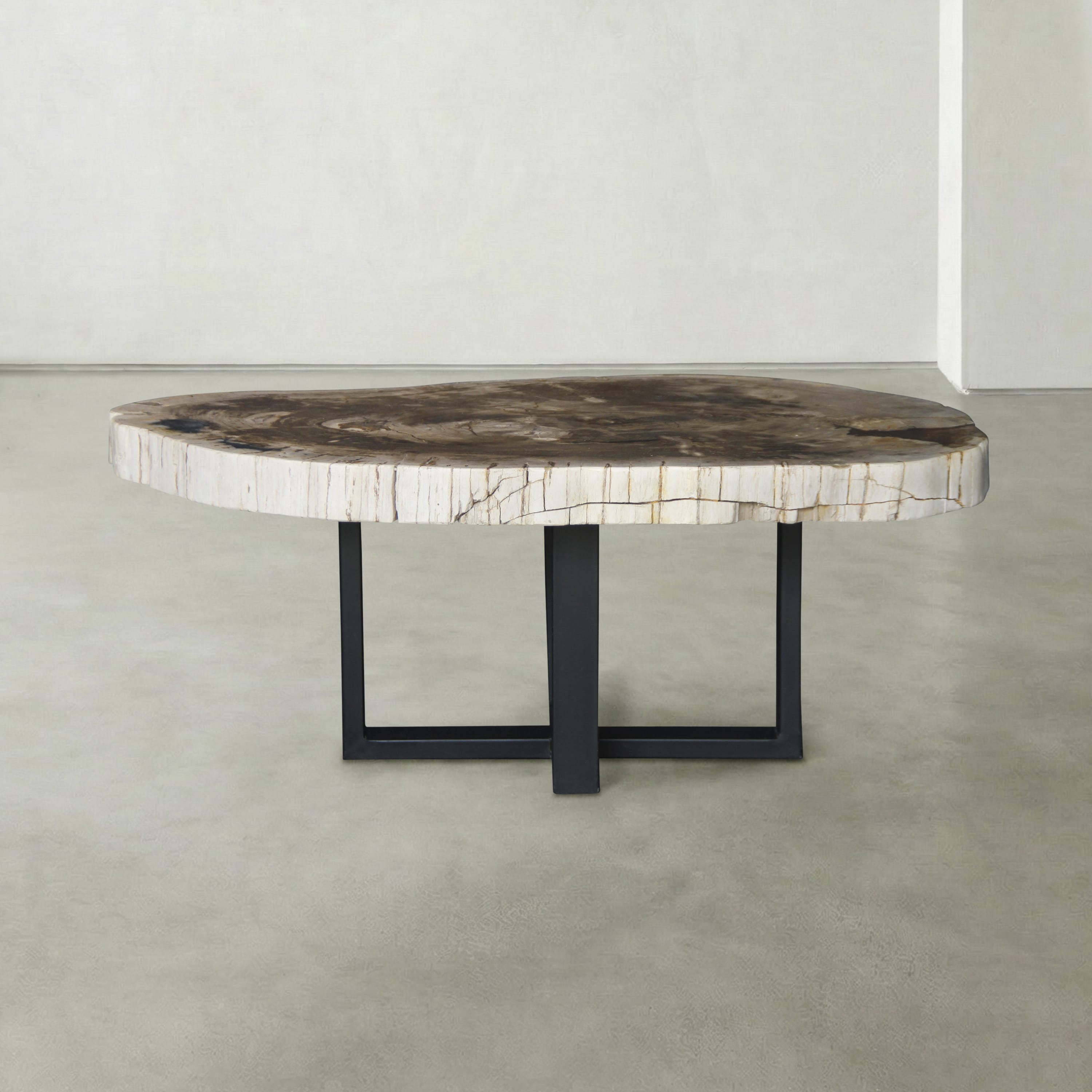 Kalifano Petrified Wood Natural Petrified Wood Round Slab Coffee Table from Indonesia - 43" / 221 lbs PWT8500.002