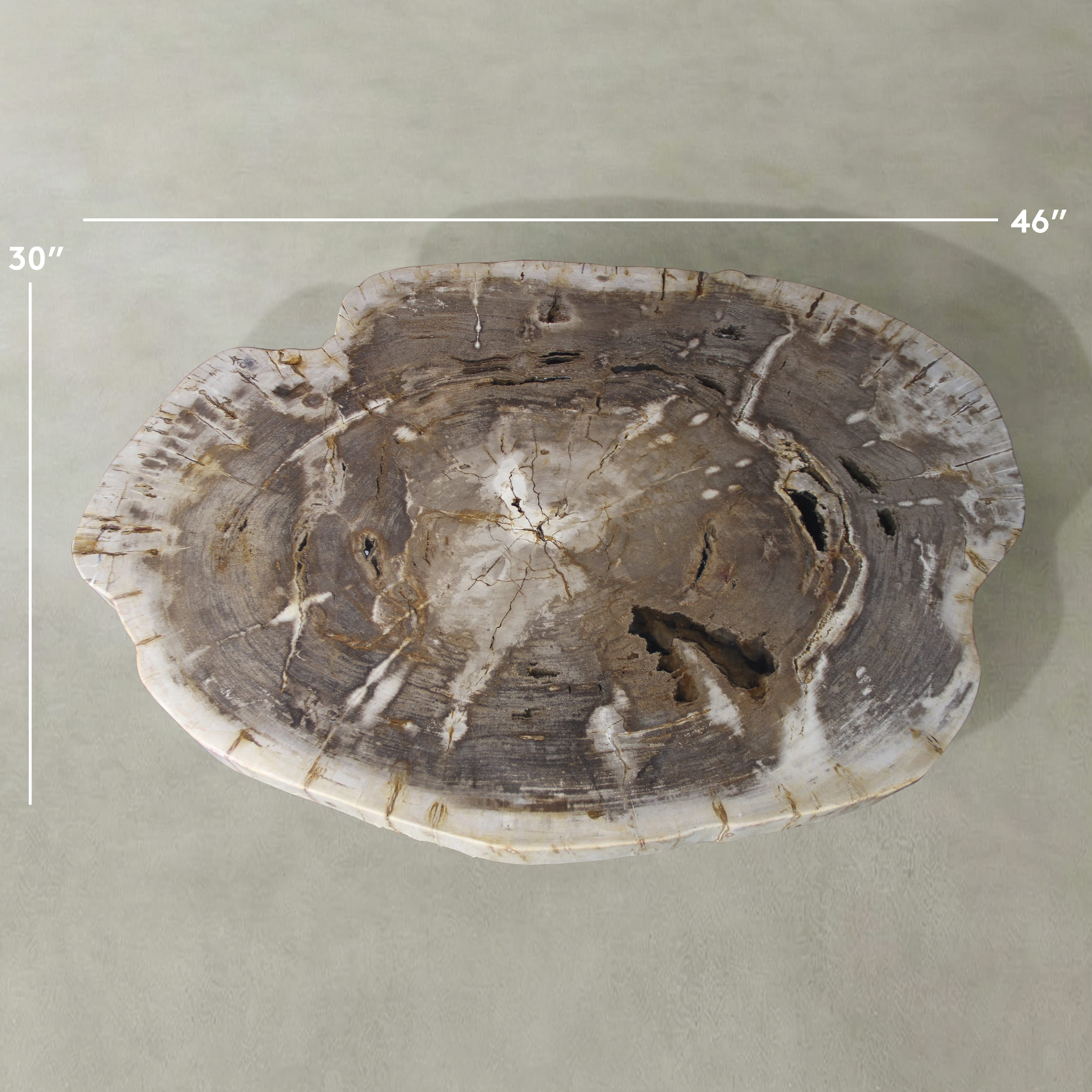 Kalifano Petrified Wood Natural Petrified Wood Round Slab Coffee Table from Indonesia - 46" / 263 lbs PWT10100.001