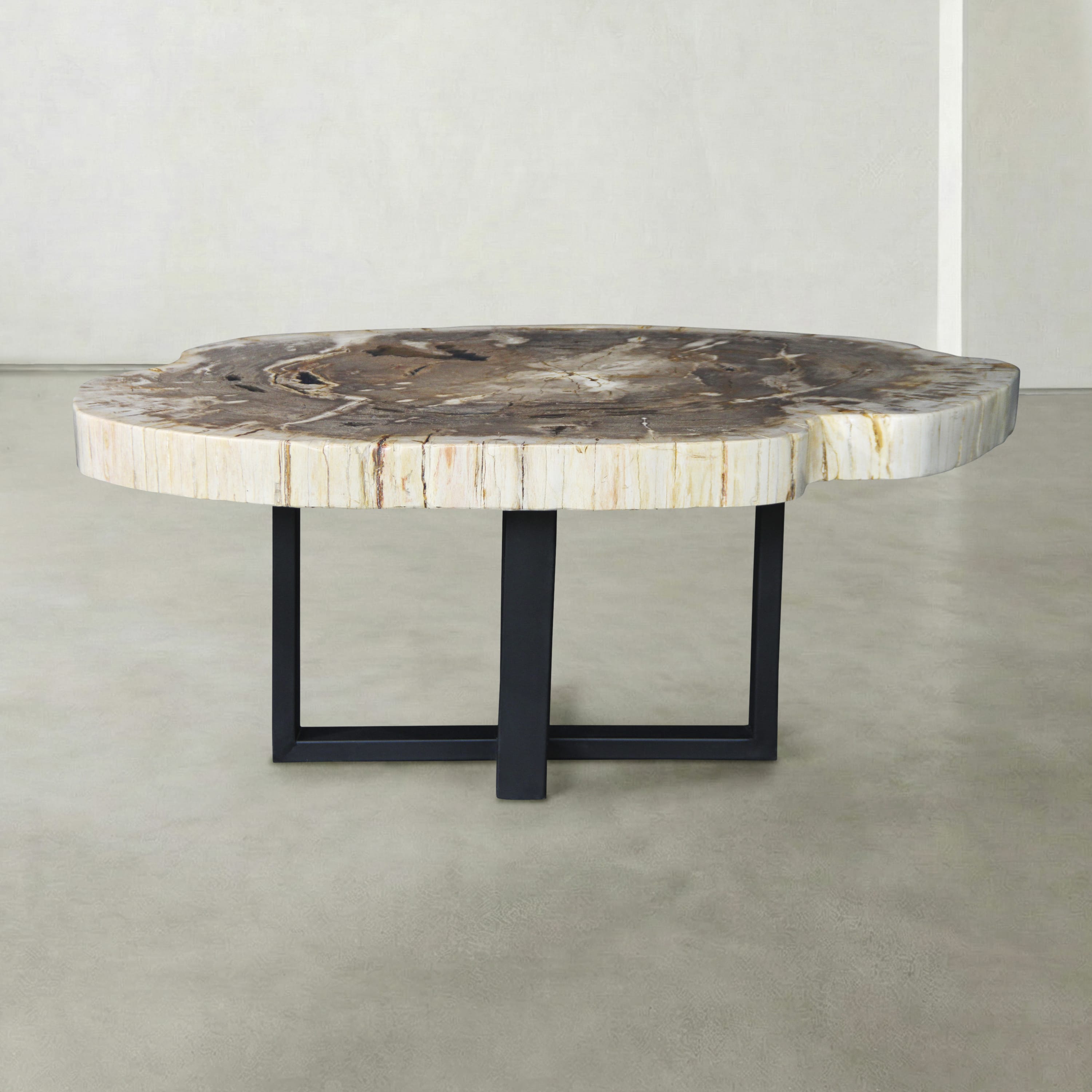 Kalifano Petrified Wood Natural Petrified Wood Round Slab Coffee Table from Indonesia - 46" / 263 lbs PWT10100.001