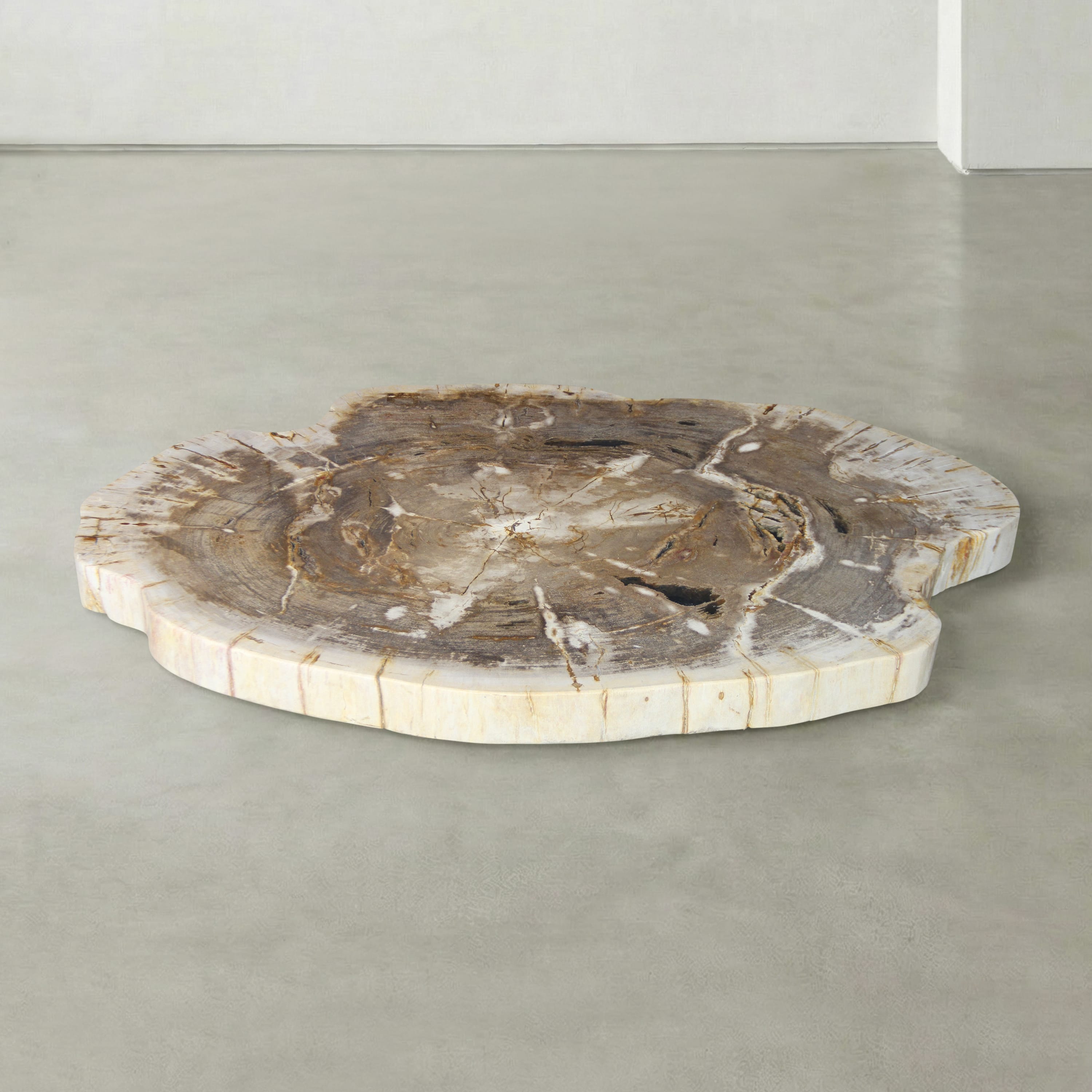 Kalifano Petrified Wood Natural Petrified Wood Round Slab Coffee Table from Indonesia - 46" / 380 lbs PWT14300.001