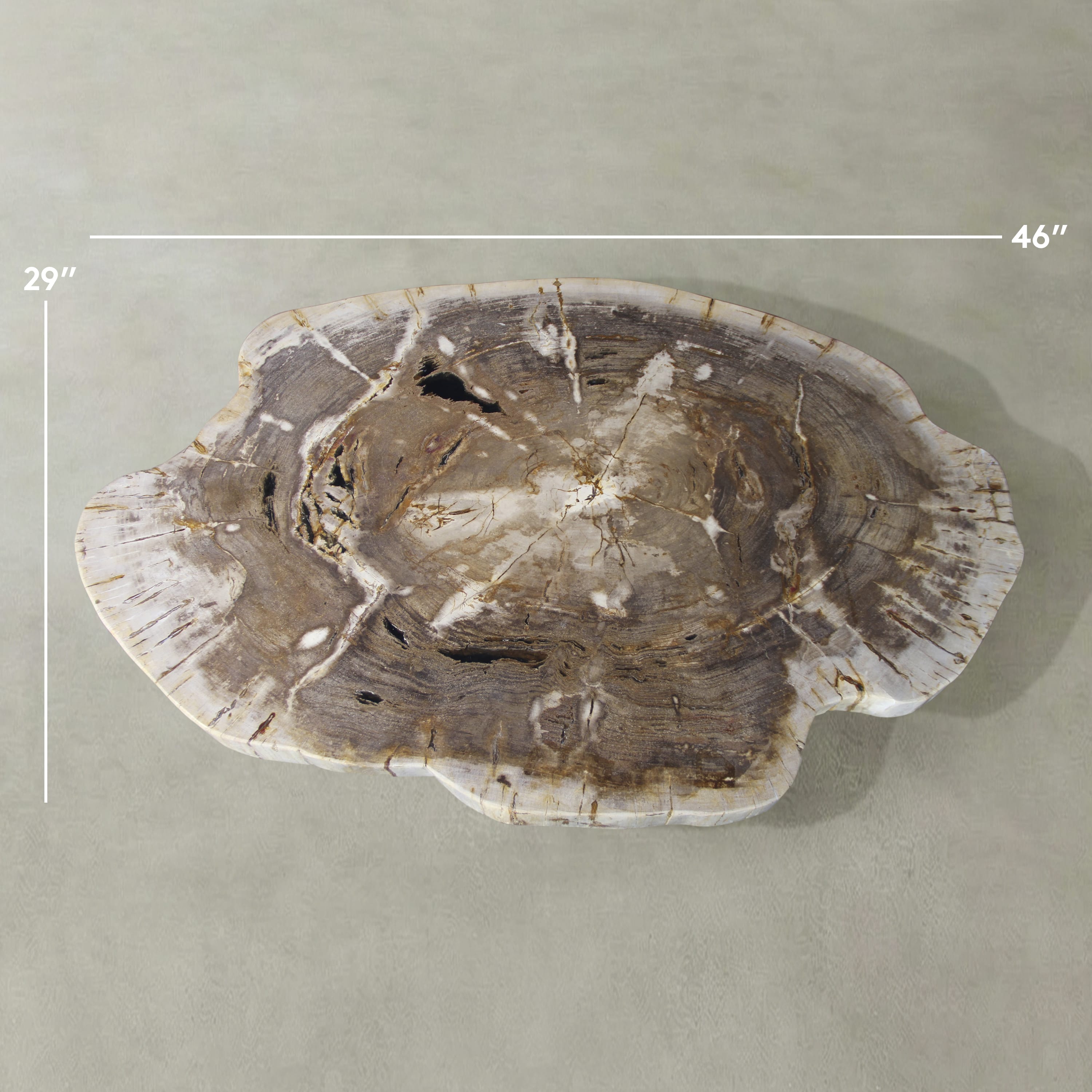 Kalifano Petrified Wood Natural Petrified Wood Round Slab Coffee Table from Indonesia - 46" / 380 lbs PWT14300.001