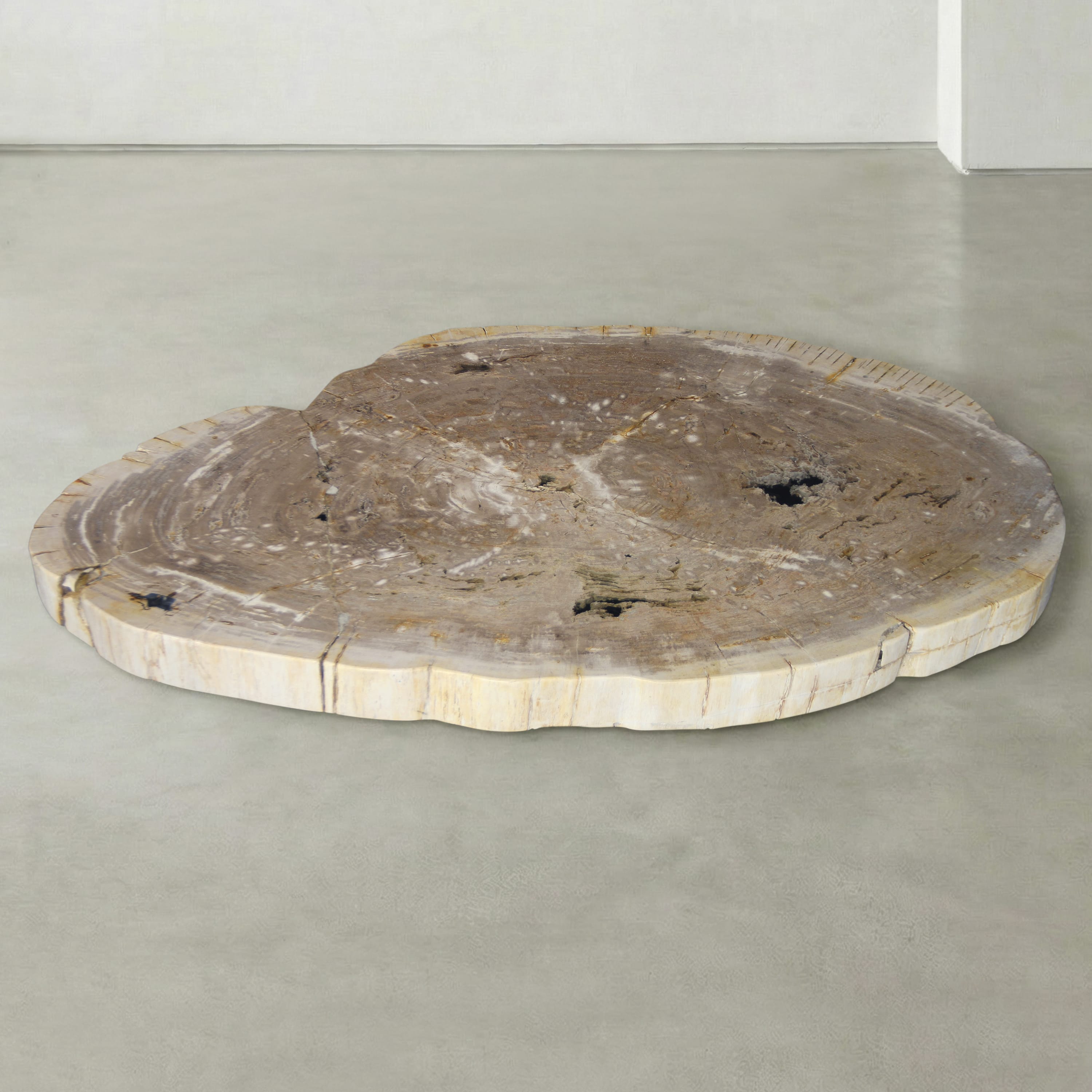 Kalifano Petrified Wood Natural Petrified Wood Round Slab Coffee Table from Indonesia - 49" / 278 lbs PWT10600.003