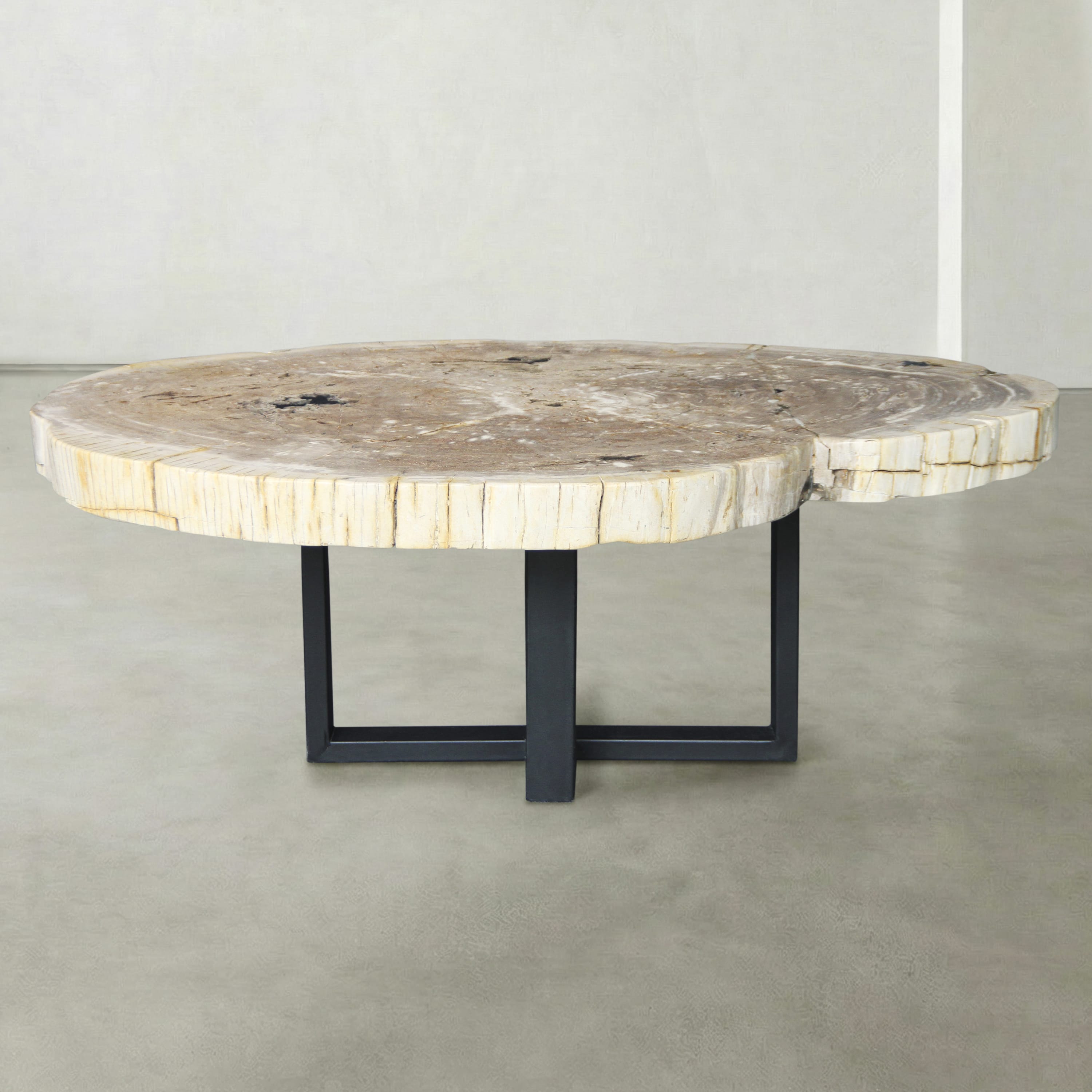 Kalifano Petrified Wood Natural Petrified Wood Round Slab Coffee Table from Indonesia - 49" / 278 lbs PWT10600.003