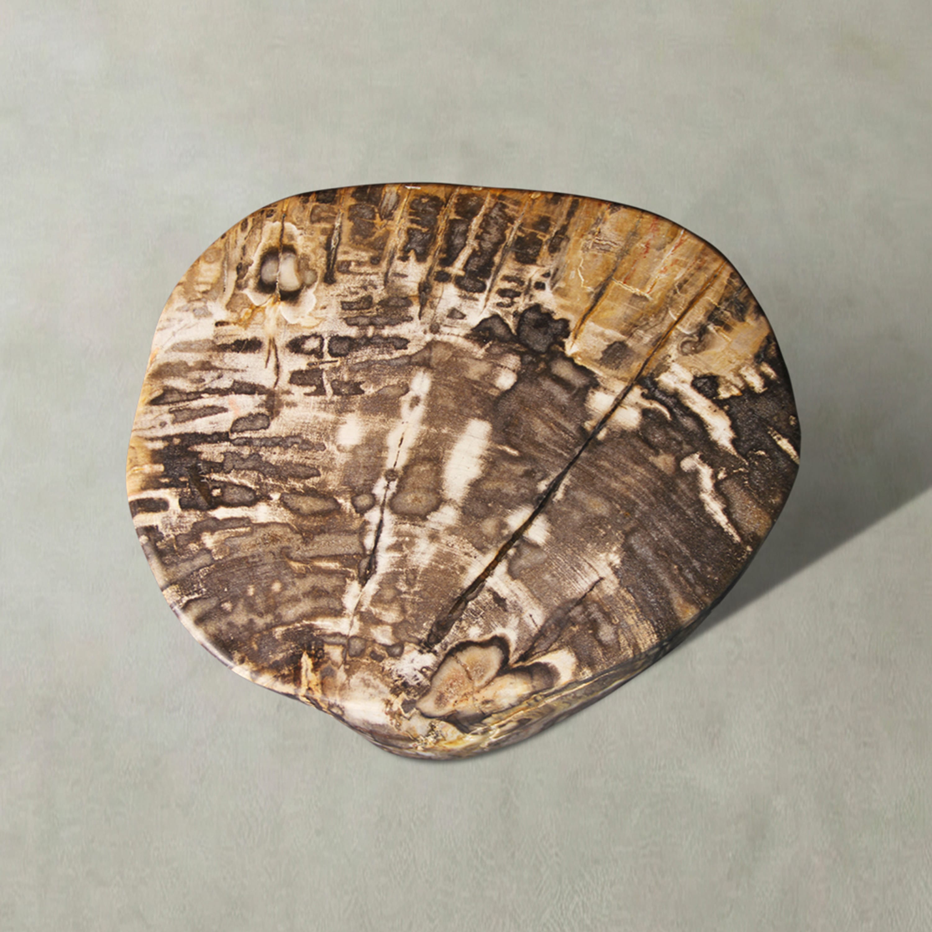 Kalifano Petrified Wood Natural Polished Petrified Wood Stool from Indonesia - 18" / 280 lbs PWS5600.003