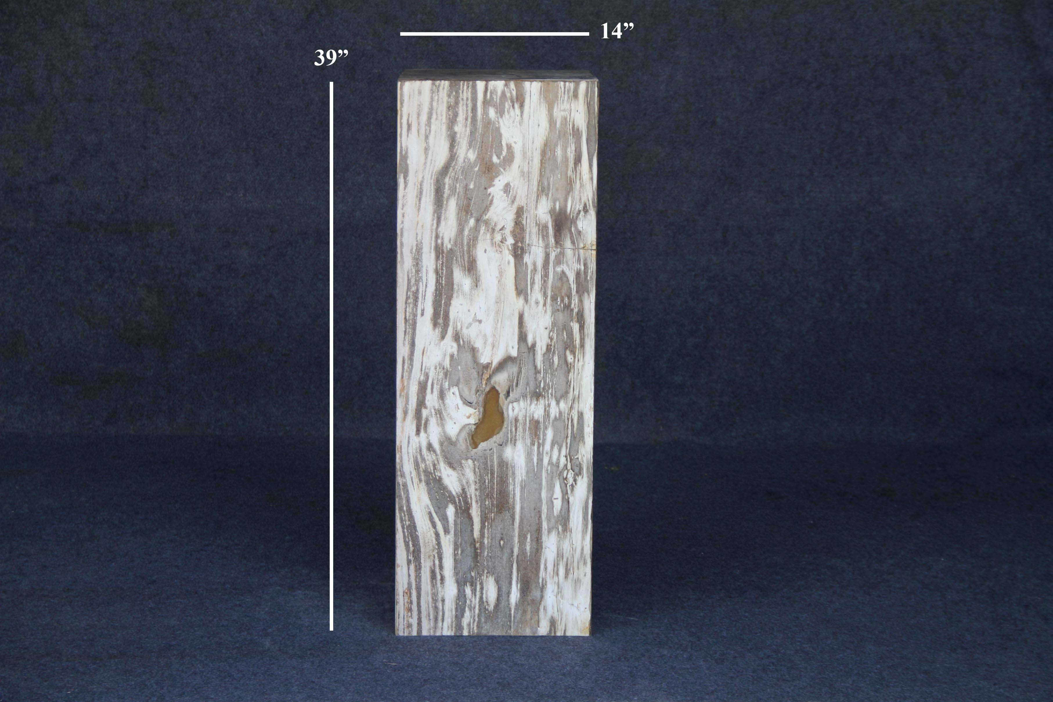 Kalifano Petrified Wood Petrified Wood Hollow Square Padestal 39" / 163lbs PWP8000.042