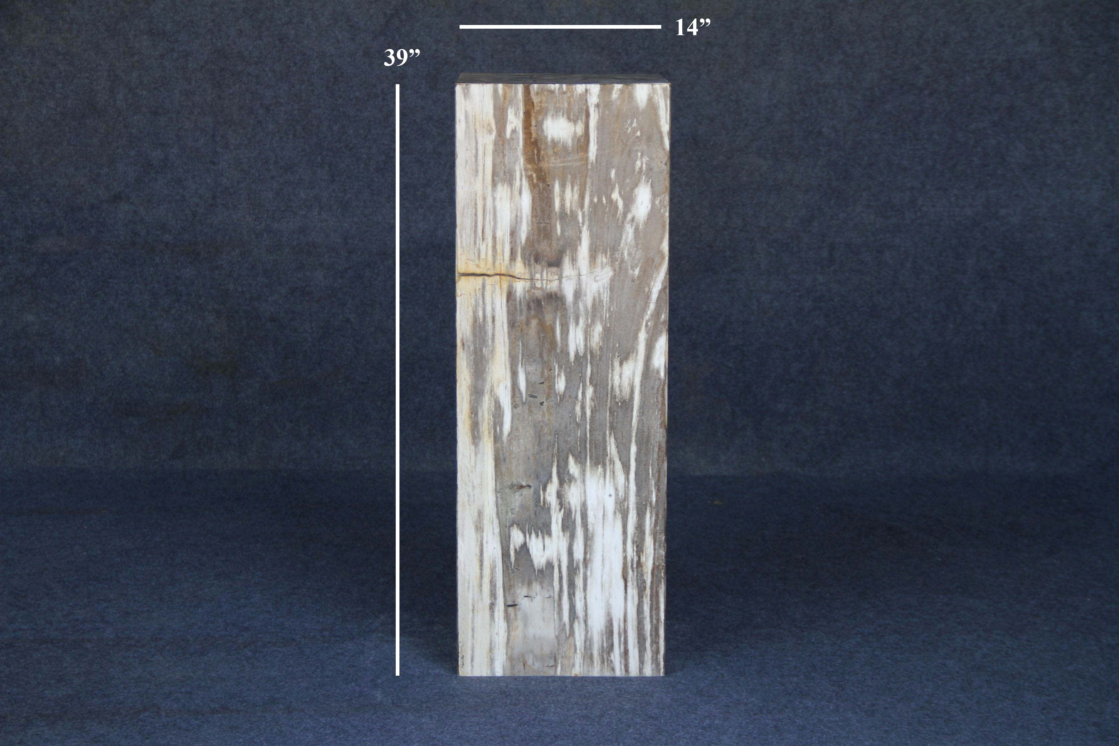 Kalifano Petrified Wood Petrified Wood Hollow Square Pedestal 39" / 178lbs PWP8000.039