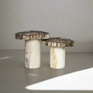 Petrified Wood Mushroom Side (Table B) 15