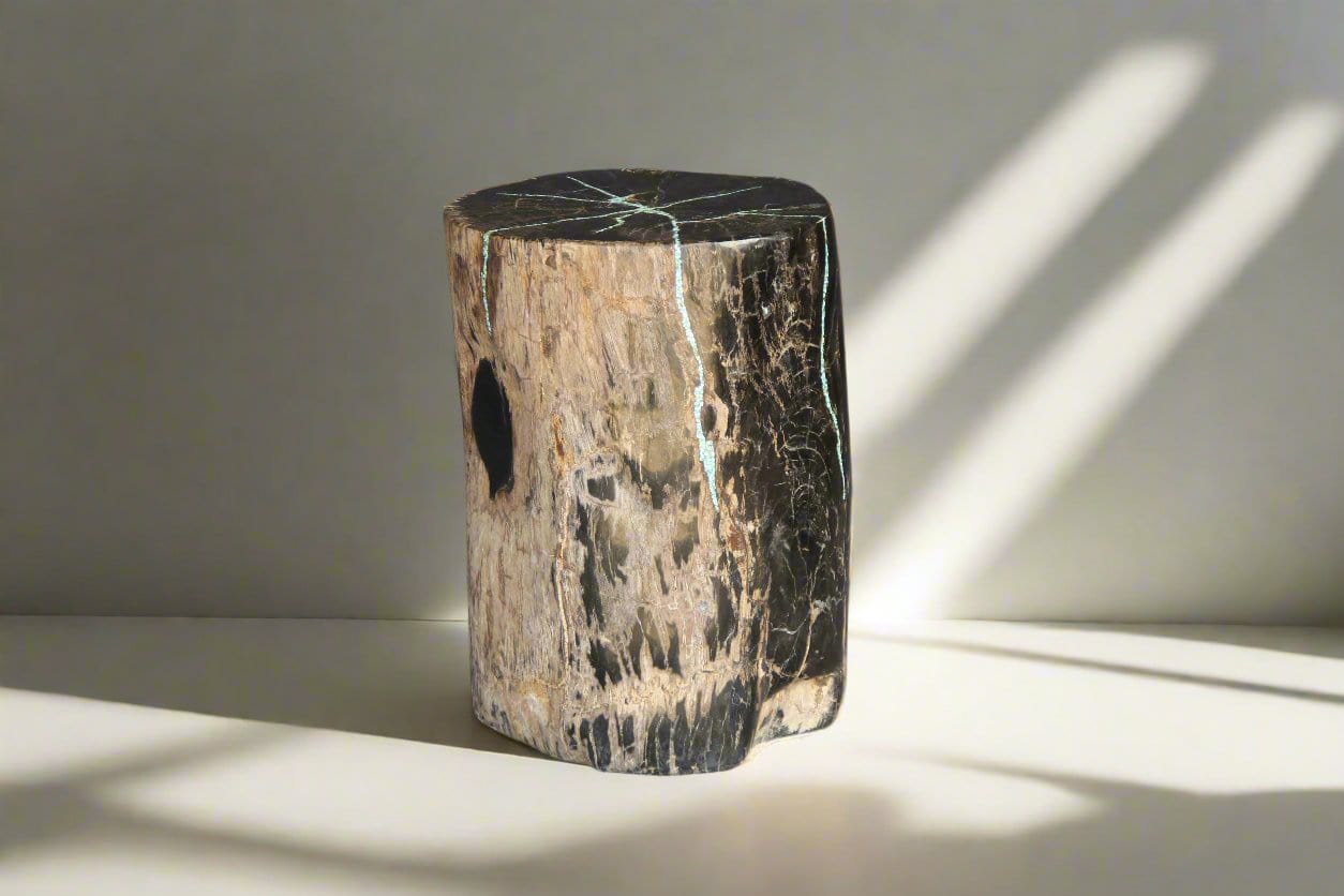 Kalifano Petrified Wood Petrified Wood Round Stump 13" / 161 lbs PWS3000.011