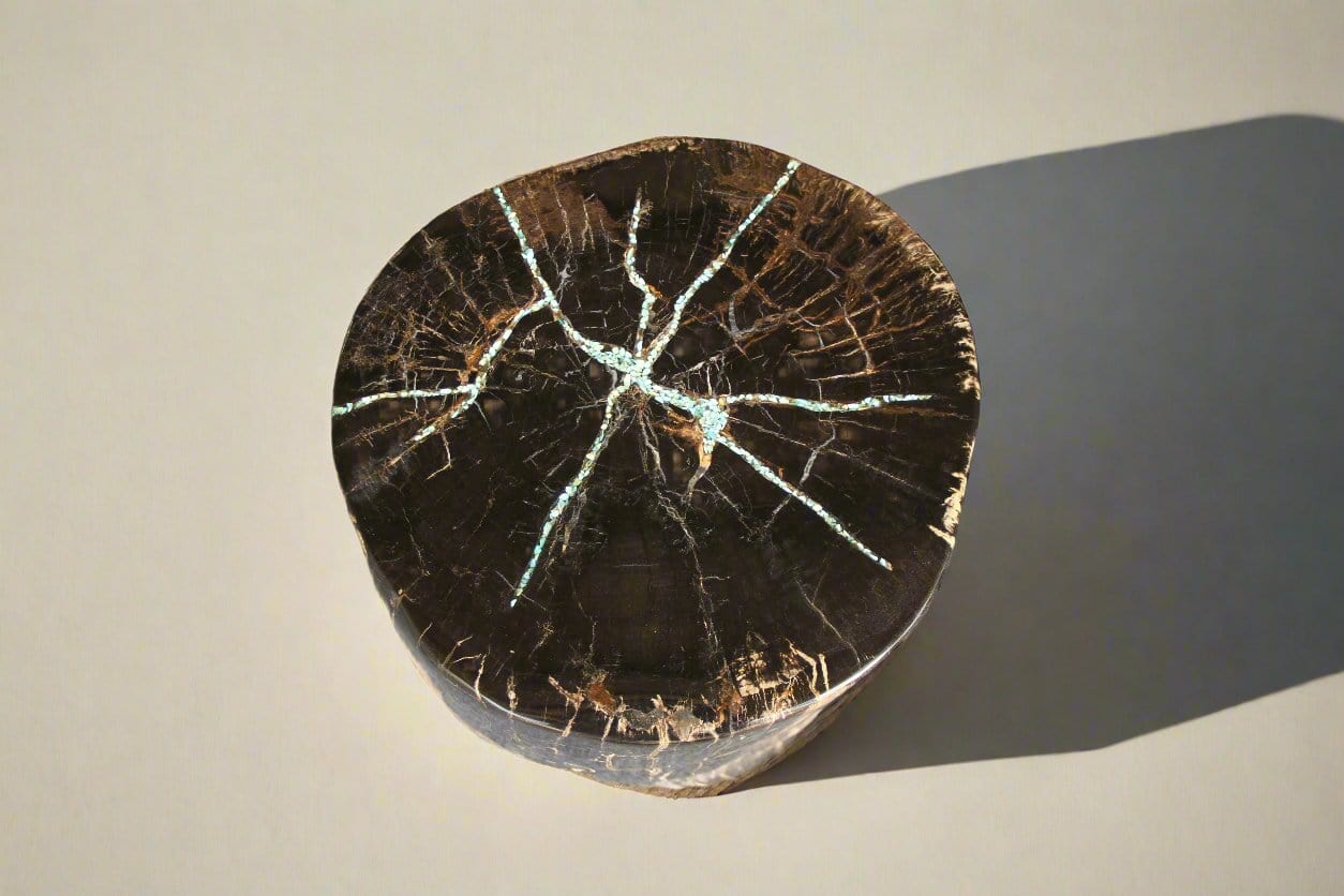 Kalifano Petrified Wood Petrified Wood Round Stump 13" / 161 lbs PWS3000.011