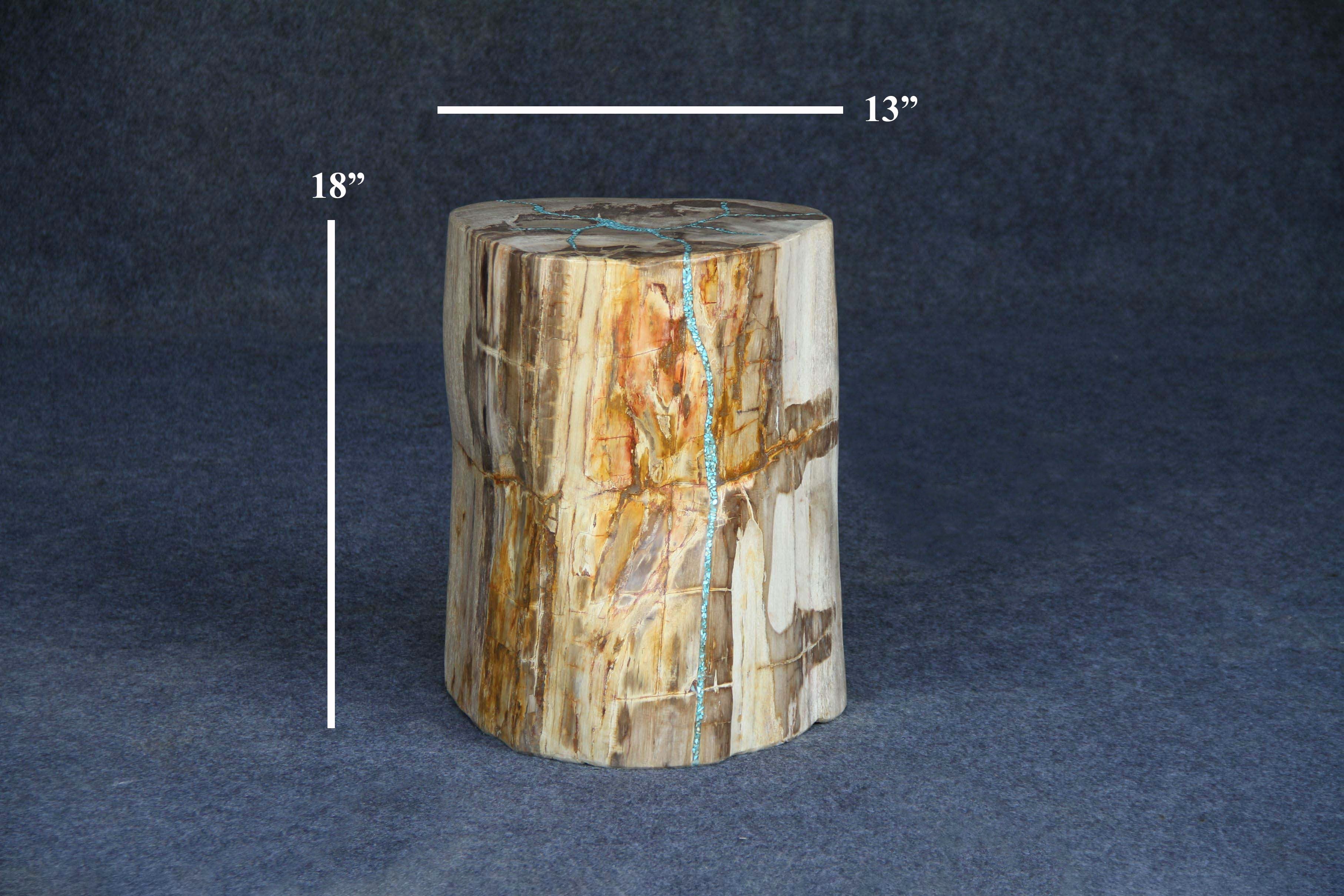 Kalifano Petrified Wood Petrified Wood Round Stump 13" / 191 lbs PWS3500.002