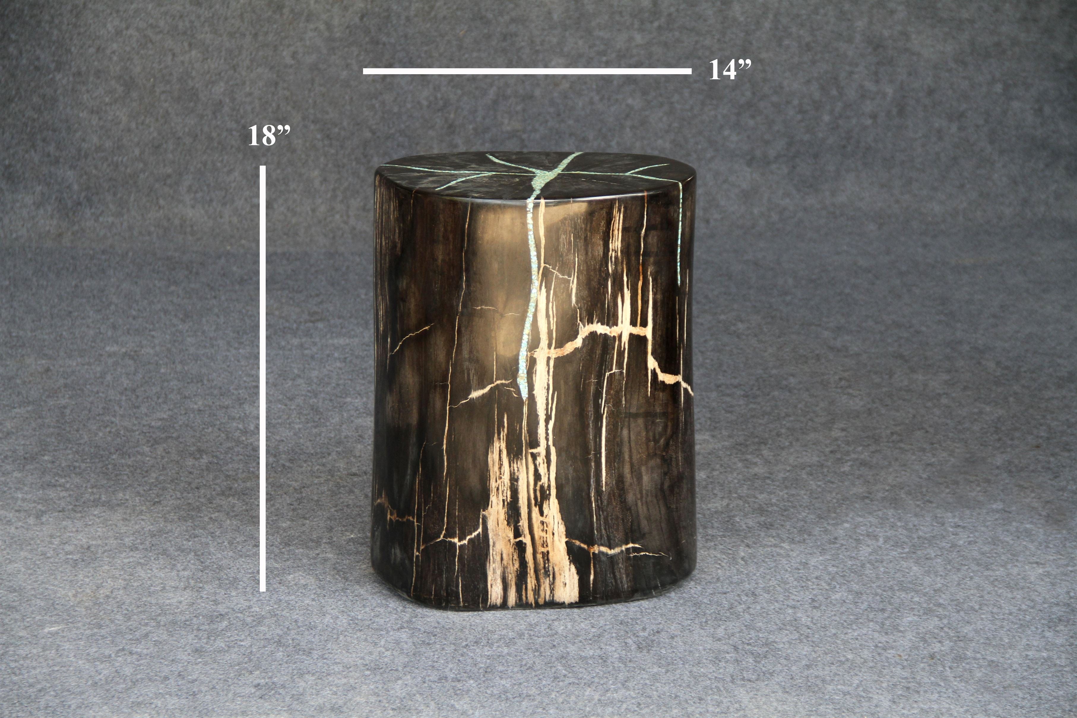 Kalifano Petrified Wood Petrified Wood Round Stump 14" / 169 lbs PWS3200.018