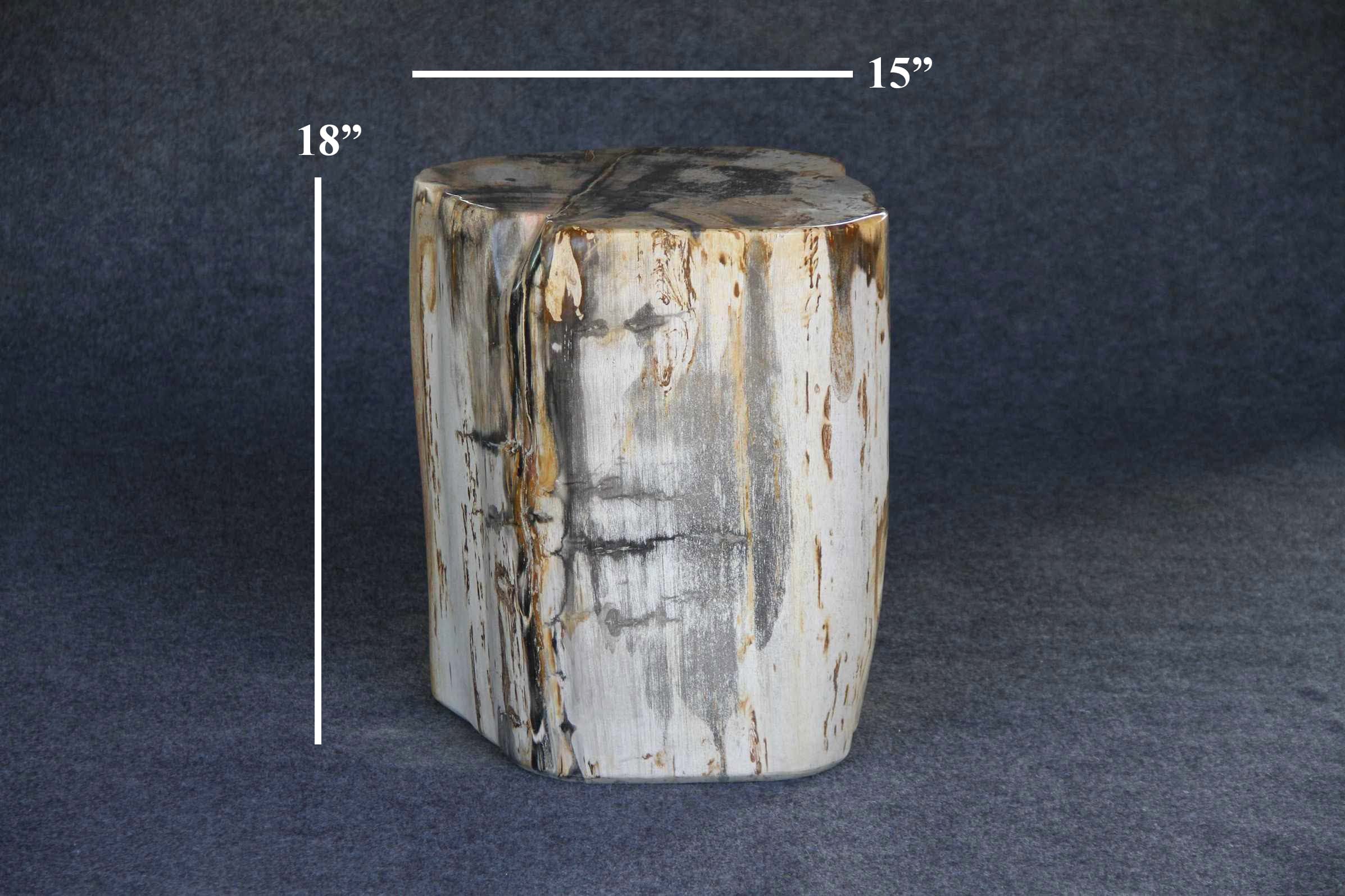 Kalifano Petrified Wood Petrified Wood Round Stump 15" / 275 lbs PWS5000.009