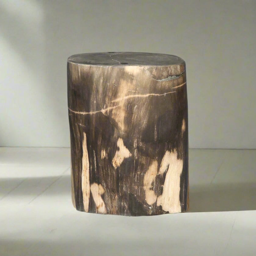 Kalifano Petrified Wood Petrified Wood Round Stump / Stool 16" / 170lbs PWS3200.017