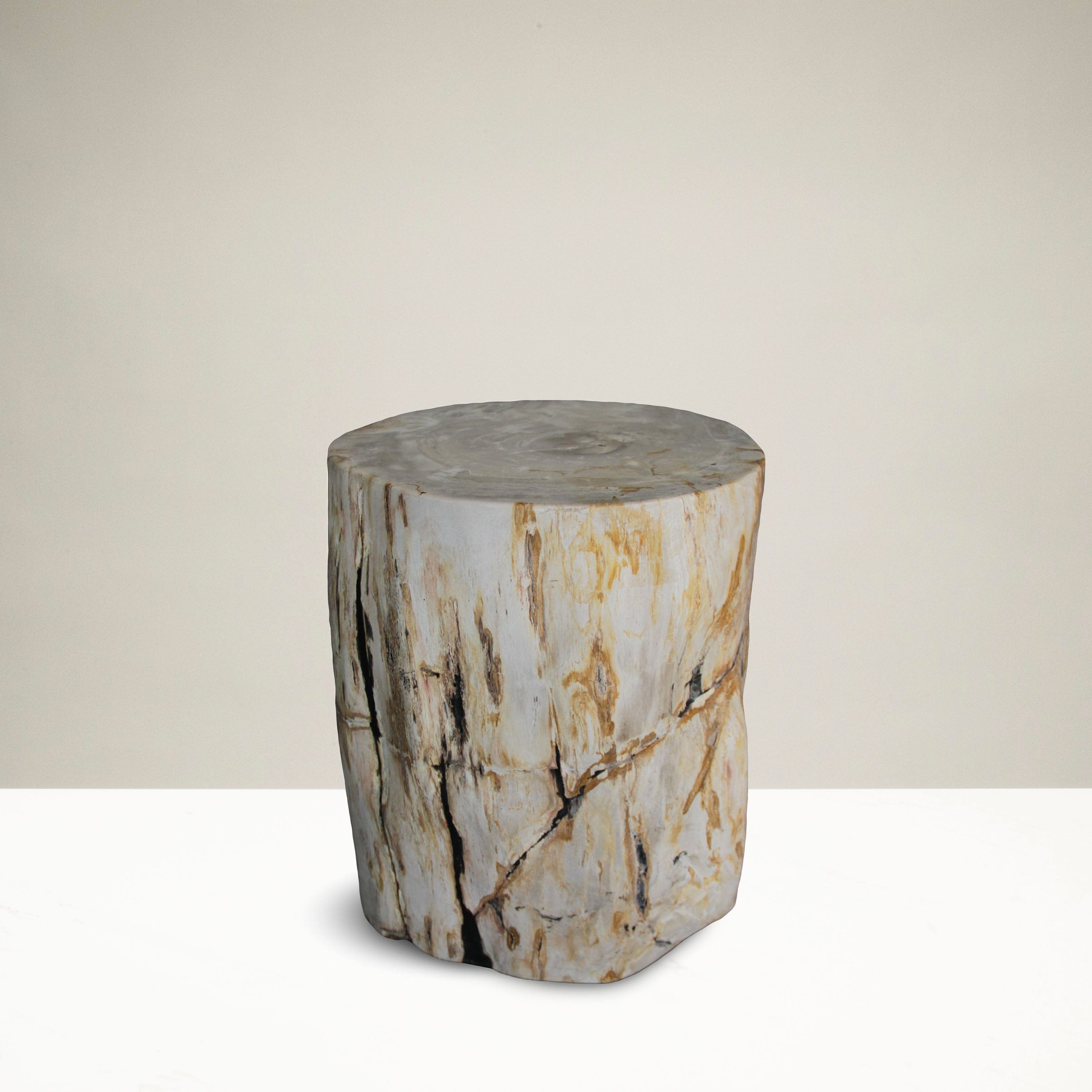 Kalifano Petrified Wood Petrified Wood Round Stump / Stool from Indonesia - 16" / 180 lbs PWS3400.010