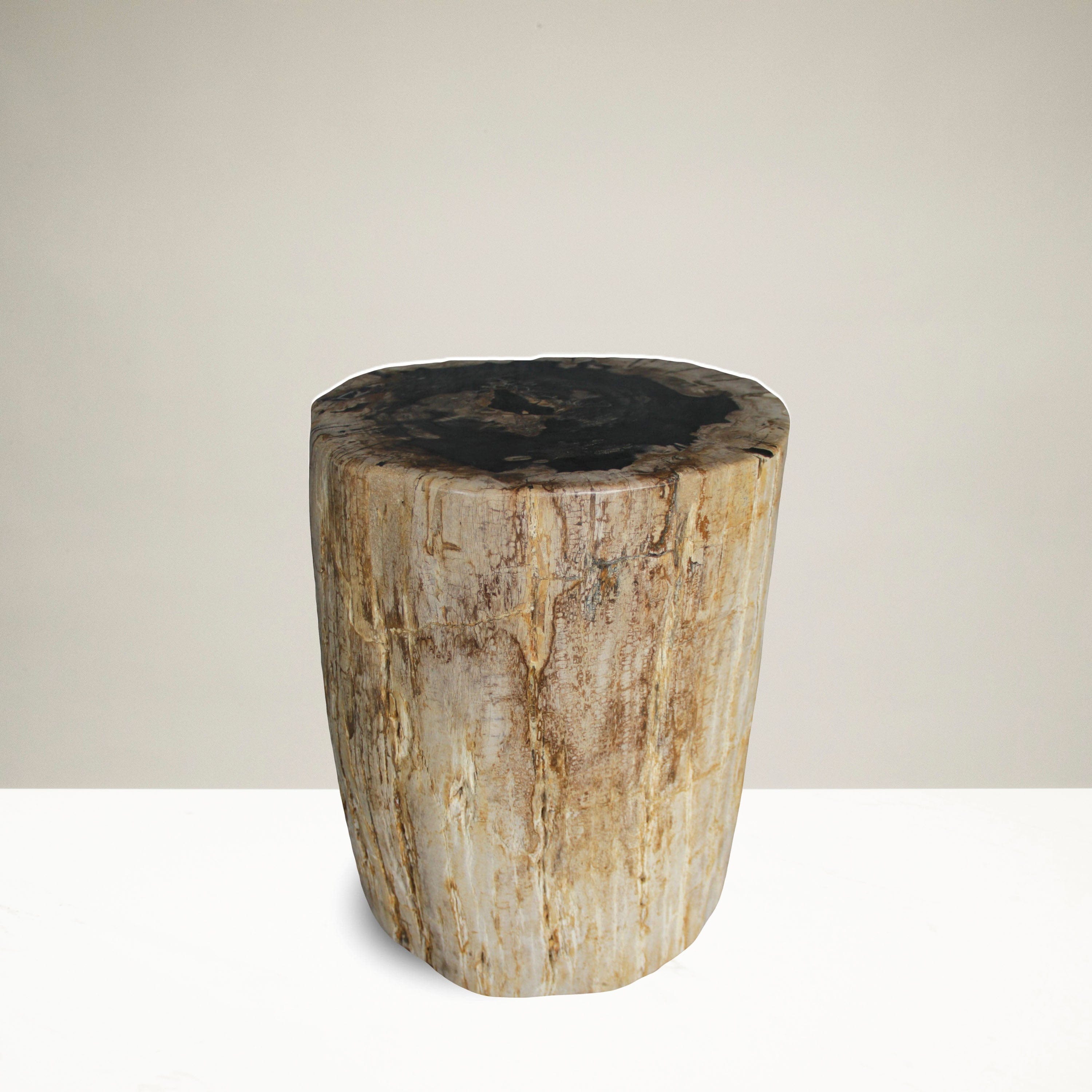 Kalifano Petrified Wood Petrified Wood Round Stump / Stool from Indonesia - 18" / 266 lbs PWS5000.003