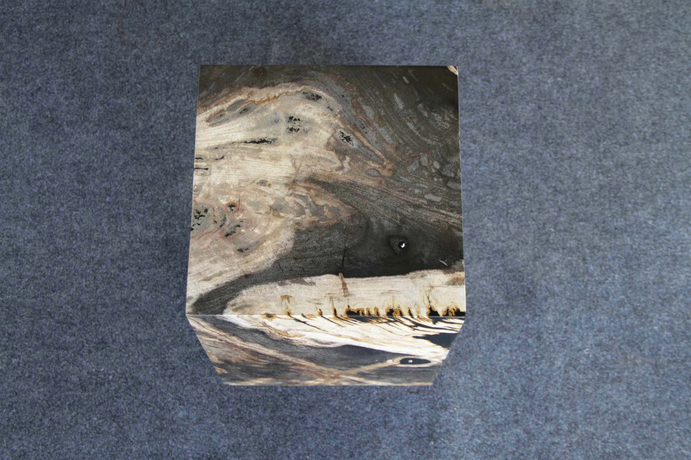 Kalifano Petrified Wood Petrified Wood Square Stump 12" / 185 lbs PWSS5600.001