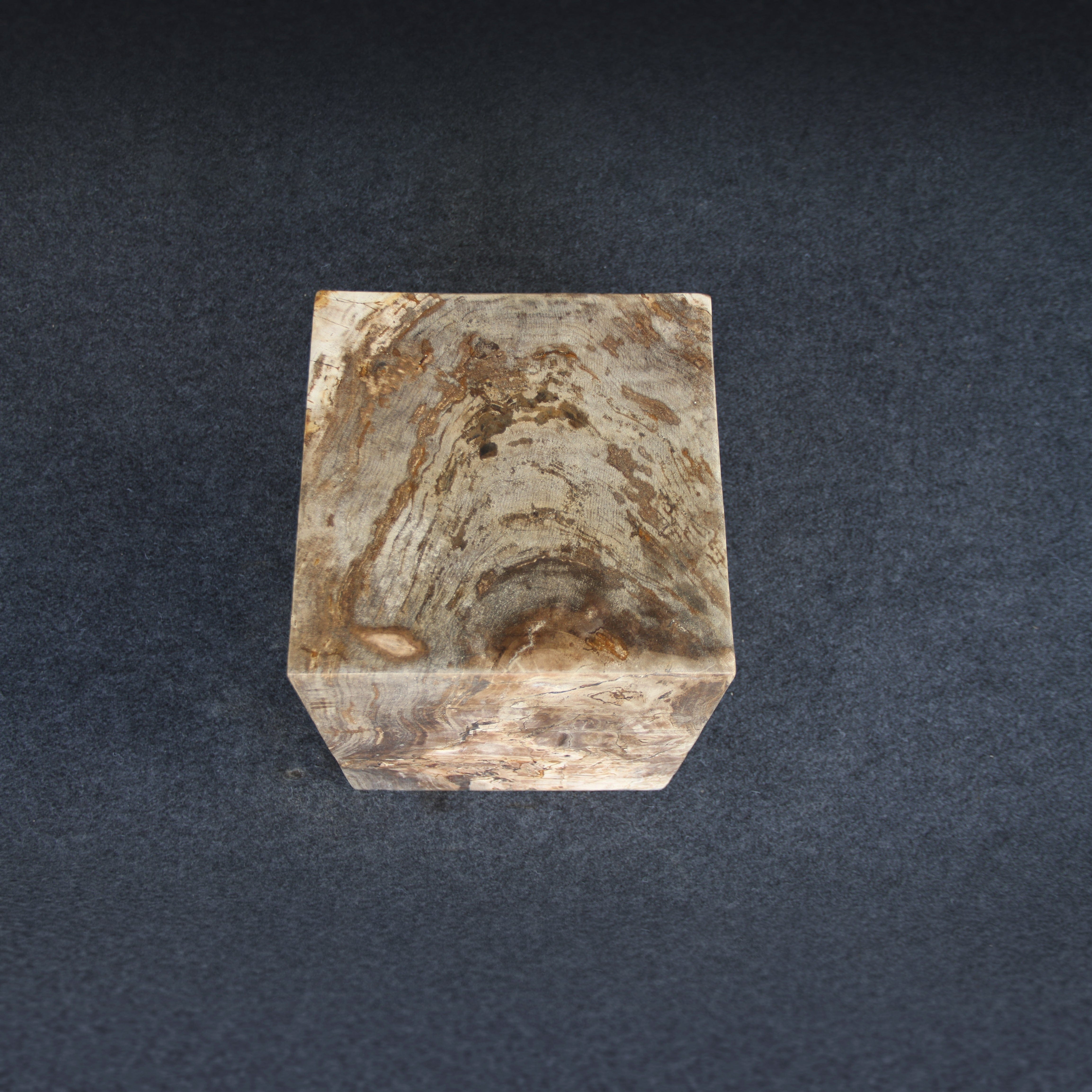 Kalifano Petrified Wood Petrified Wood Square Stump / Stool 16" / 198 lbs PWSS6200.006