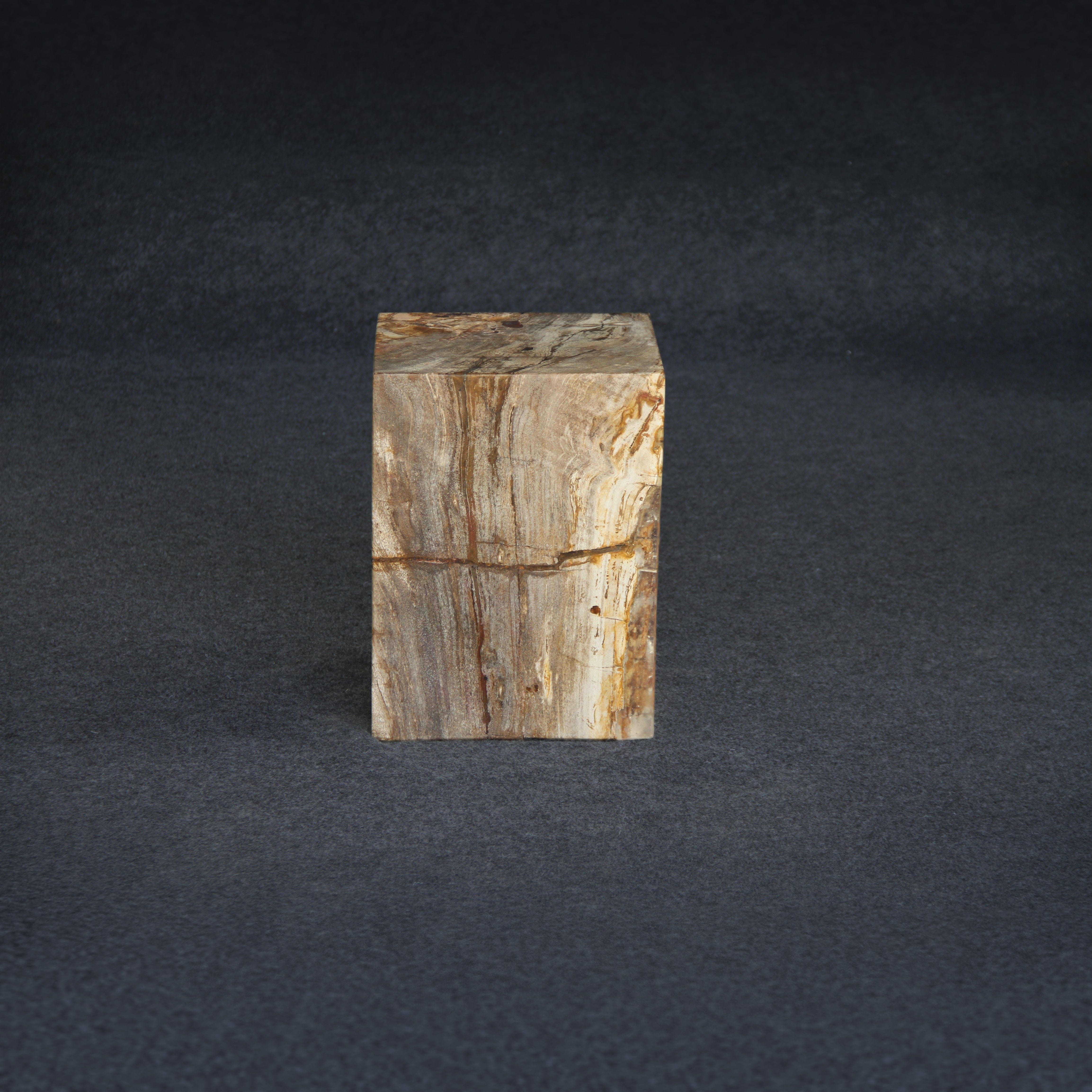 Kalifano Petrified Wood Petrified Wood Square Stump / Stool 16" / 201 lbs PWSS6200.003