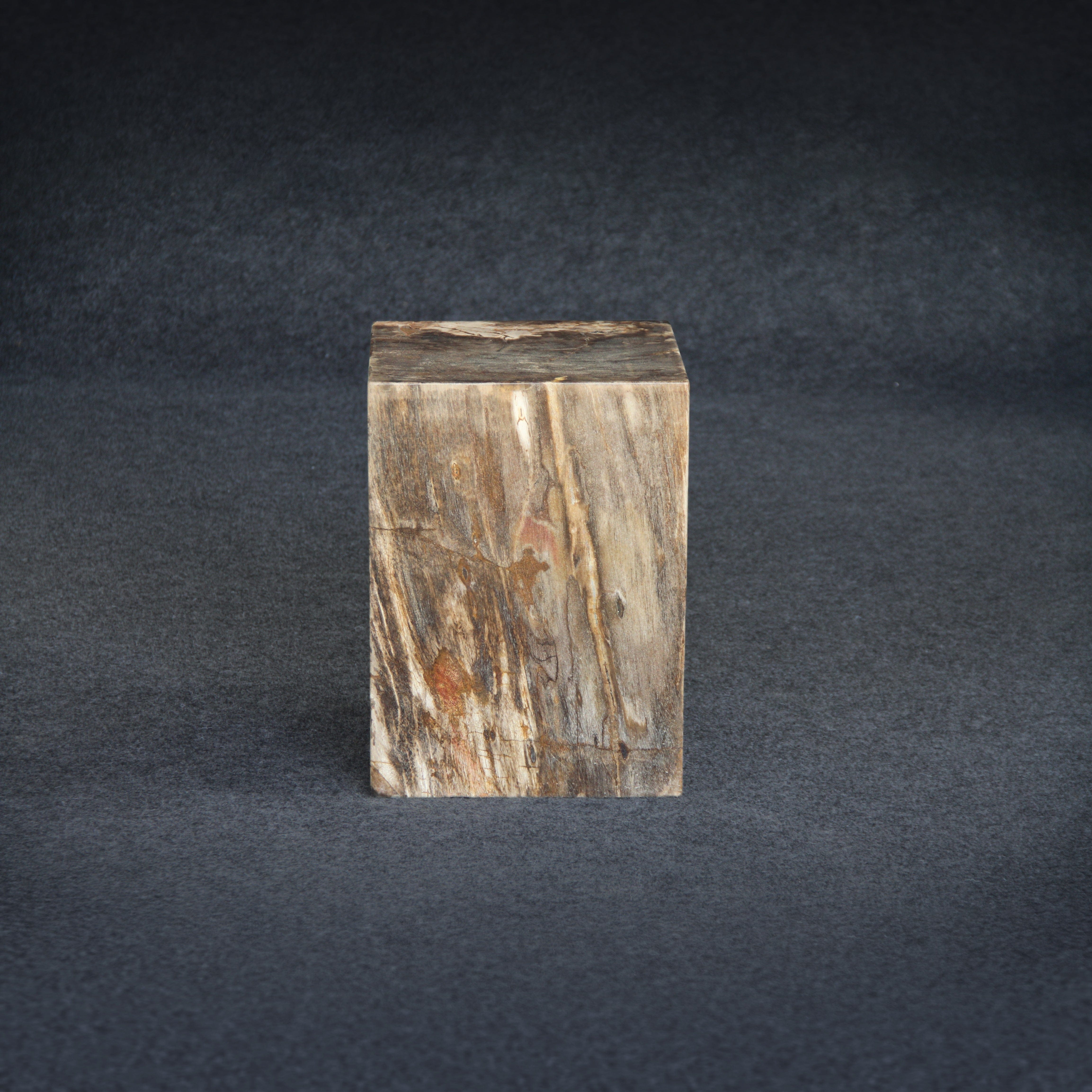 Kalifano Petrified Wood Petrified Wood Square Stump / Stool 16" / 203 lbs PWSS6200.009